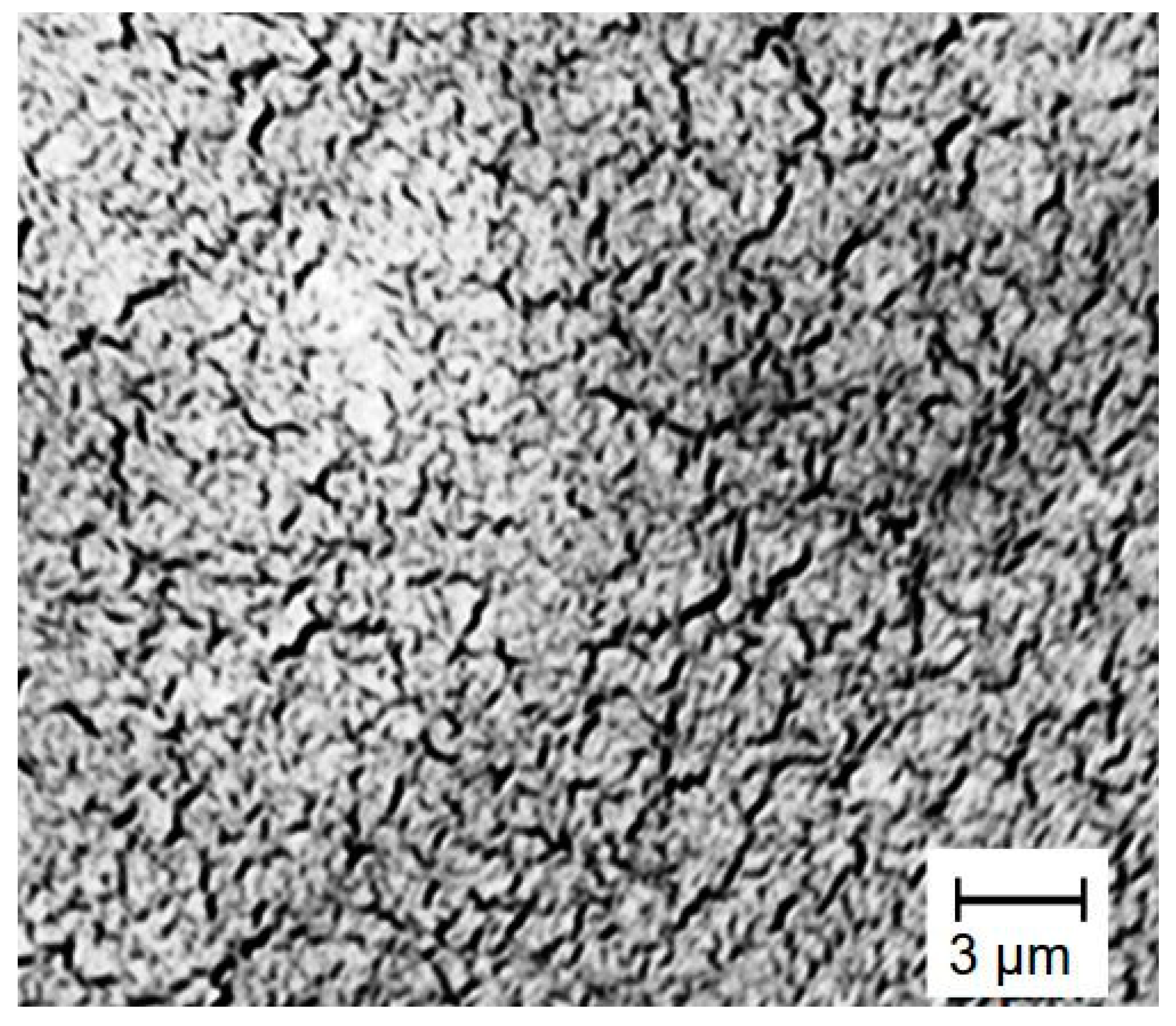 Polymers 13 01991 g010 Polymers 13 01991 g010