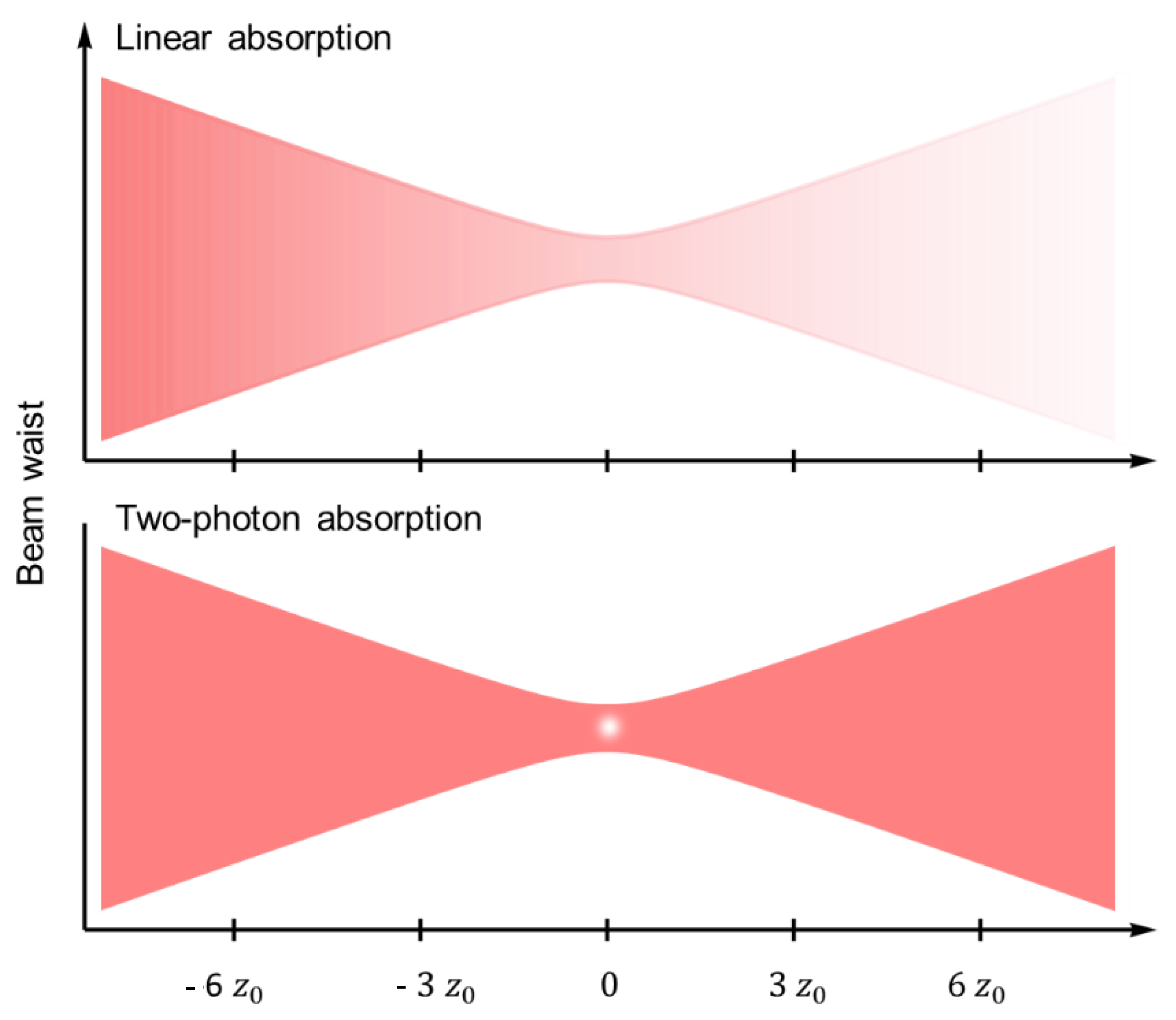 Polymers 13 01994 g002