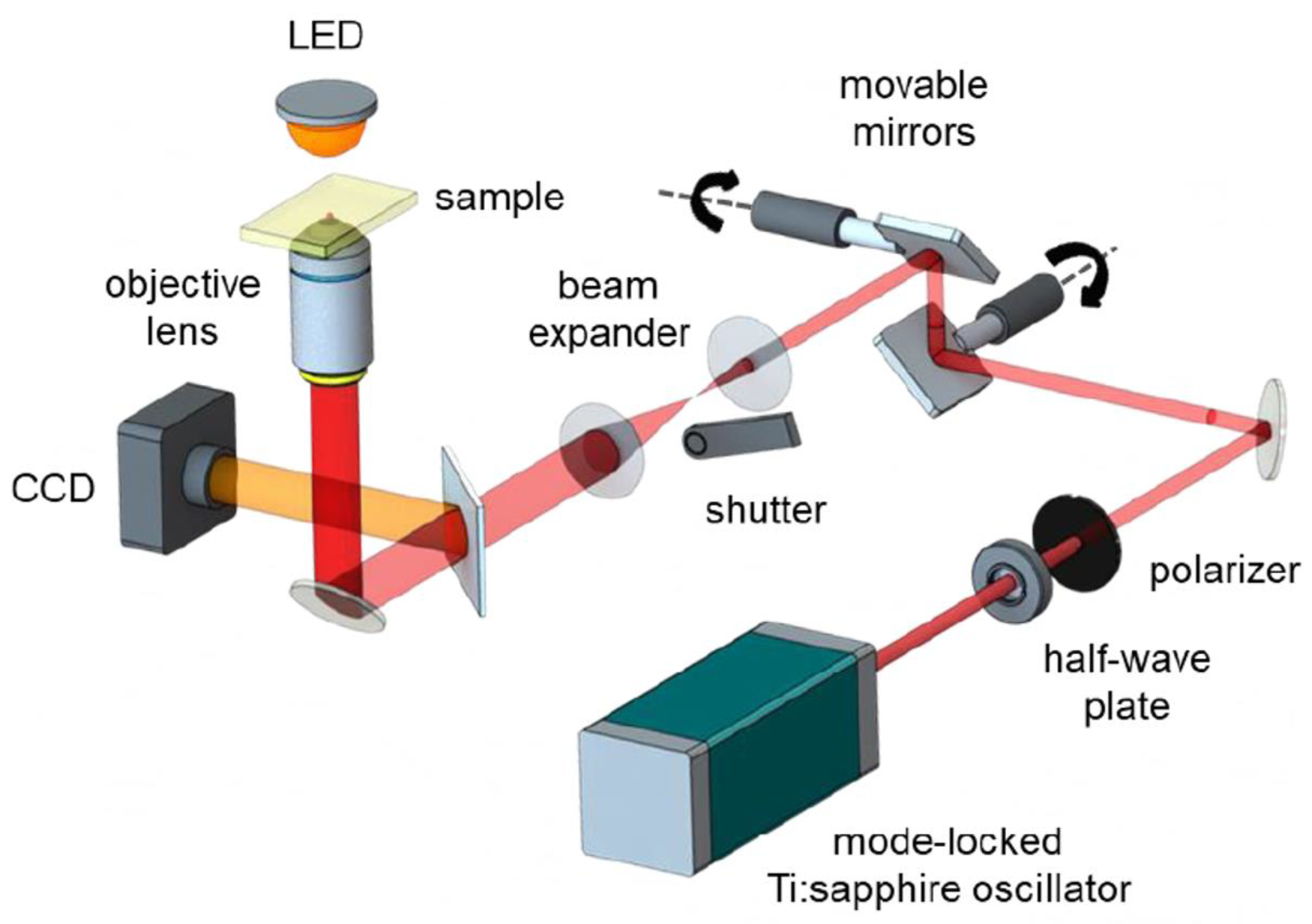 Polymers 13 01994 g005