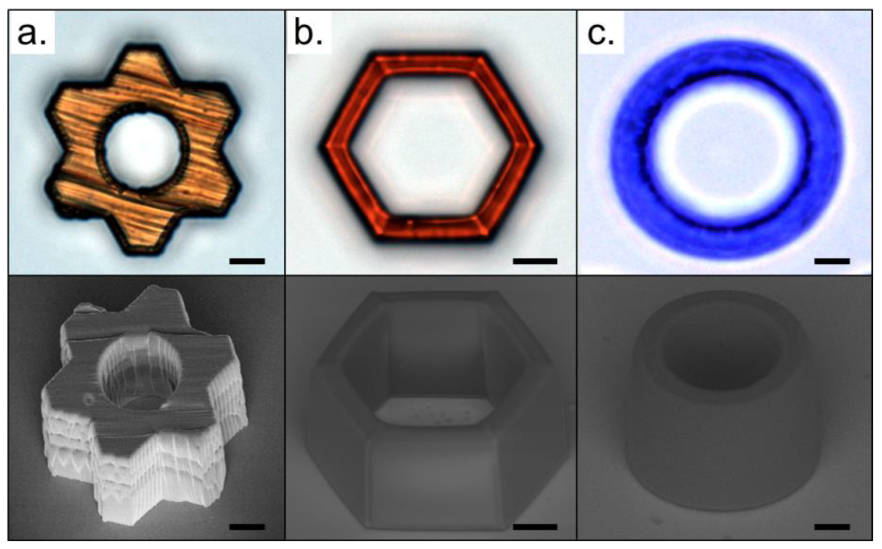 Polymers 13 01994 g006