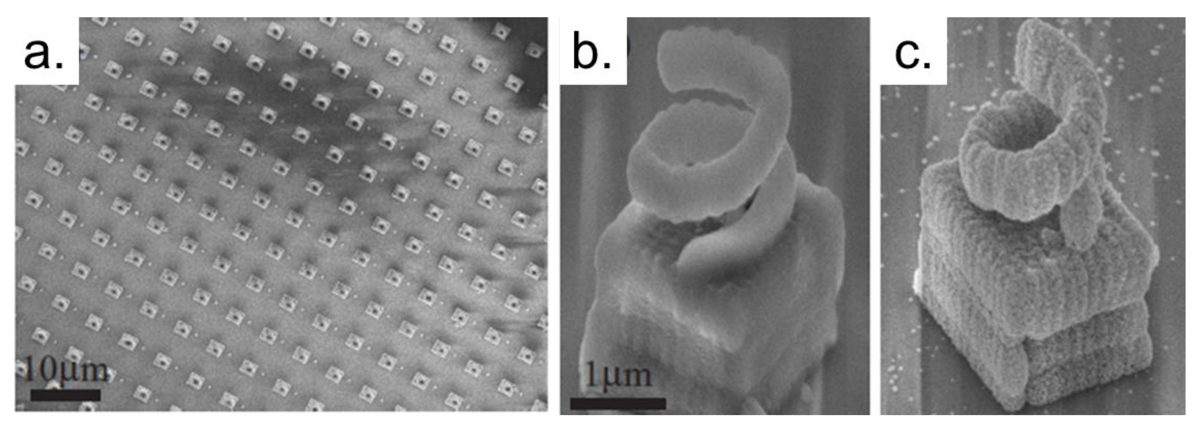 Polymers 13 01994 g008