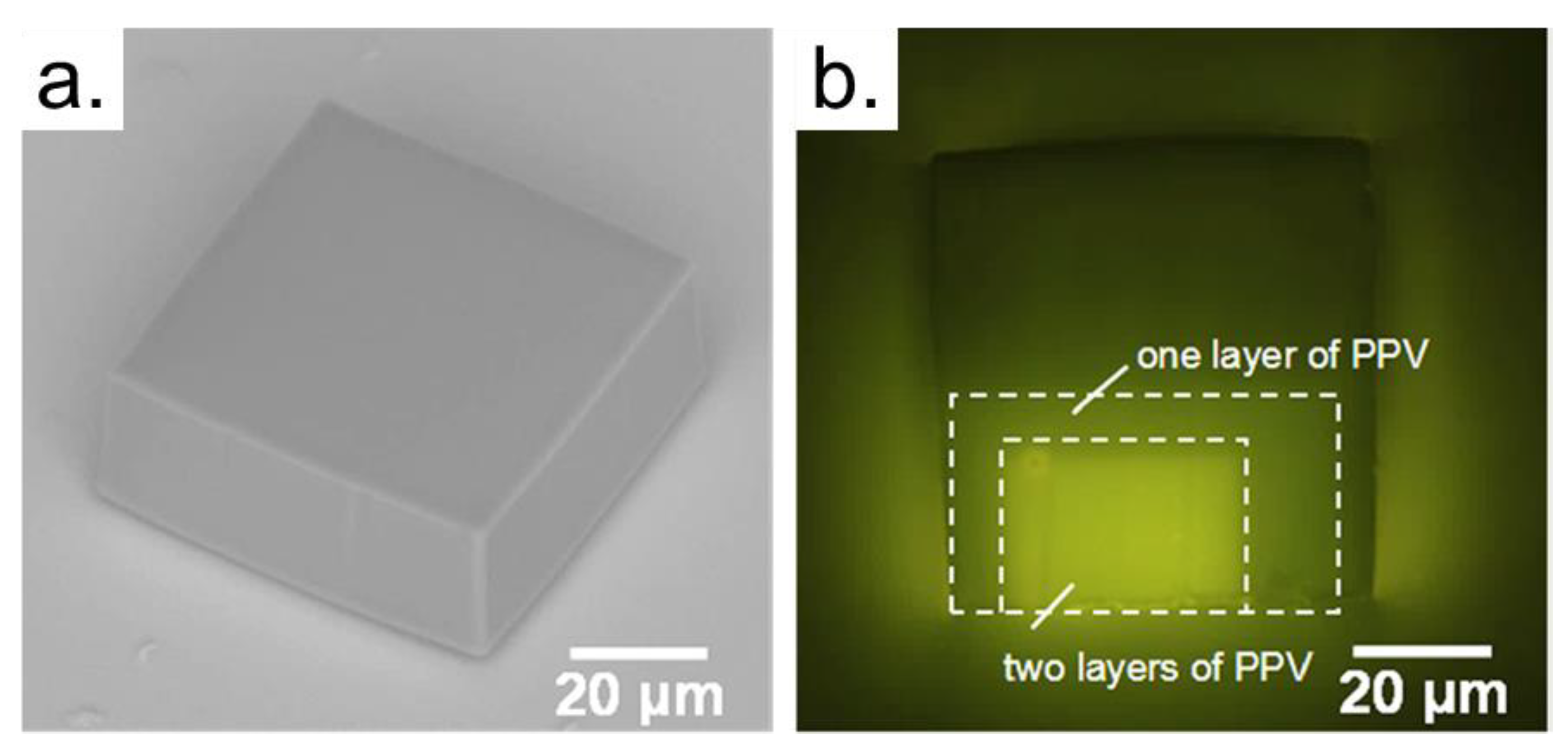 Polymers 13 01994 g009