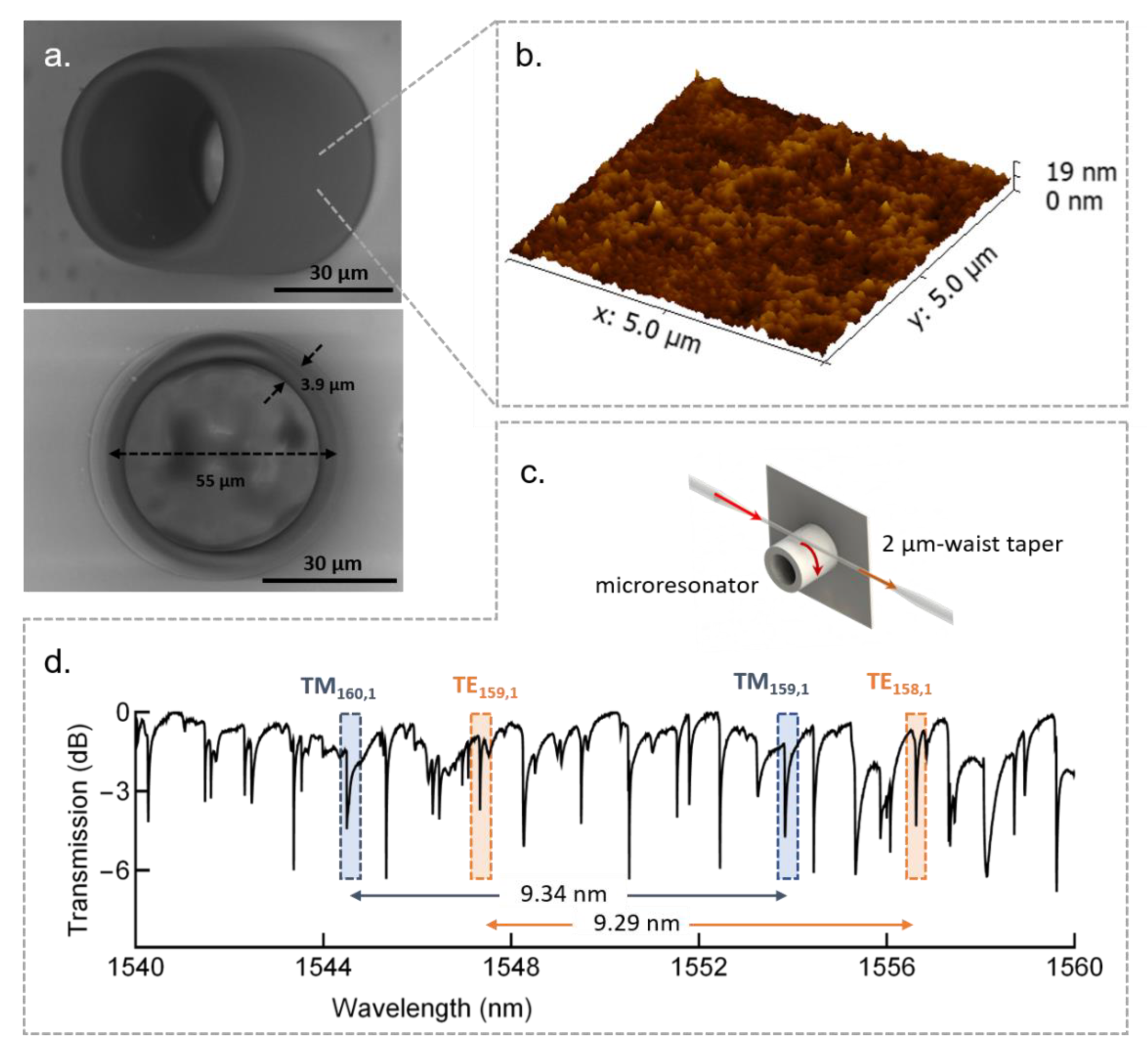 Polymers 13 01994 g013