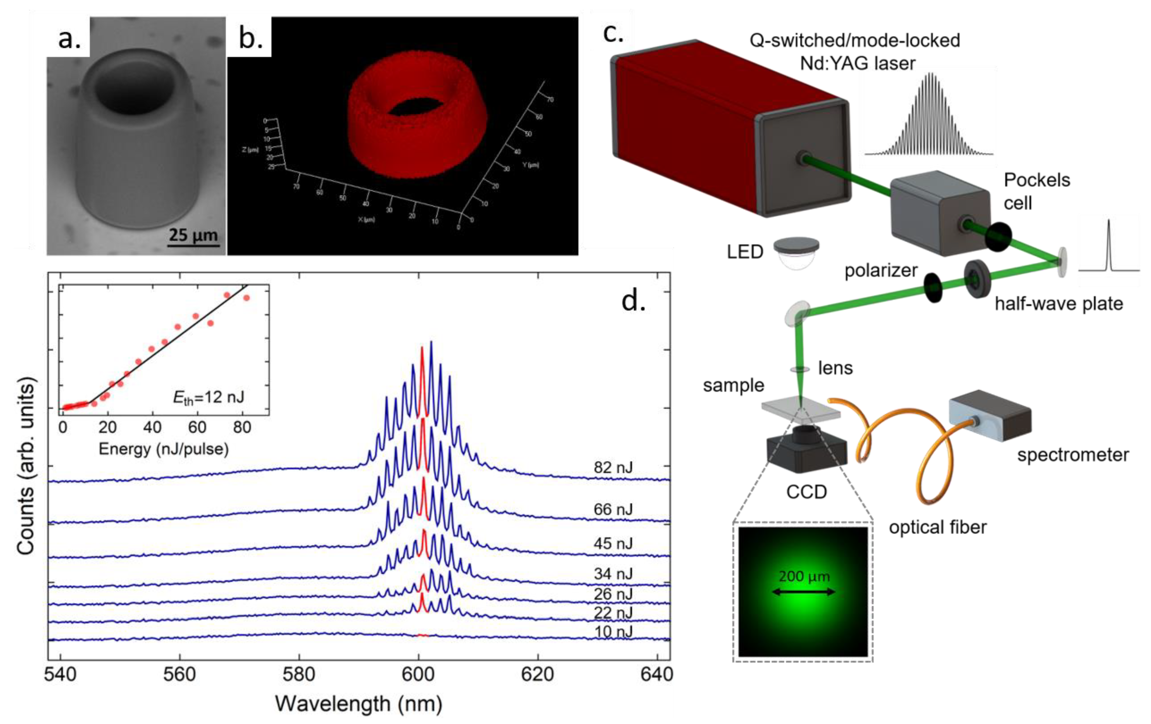 Polymers 13 01994 g014