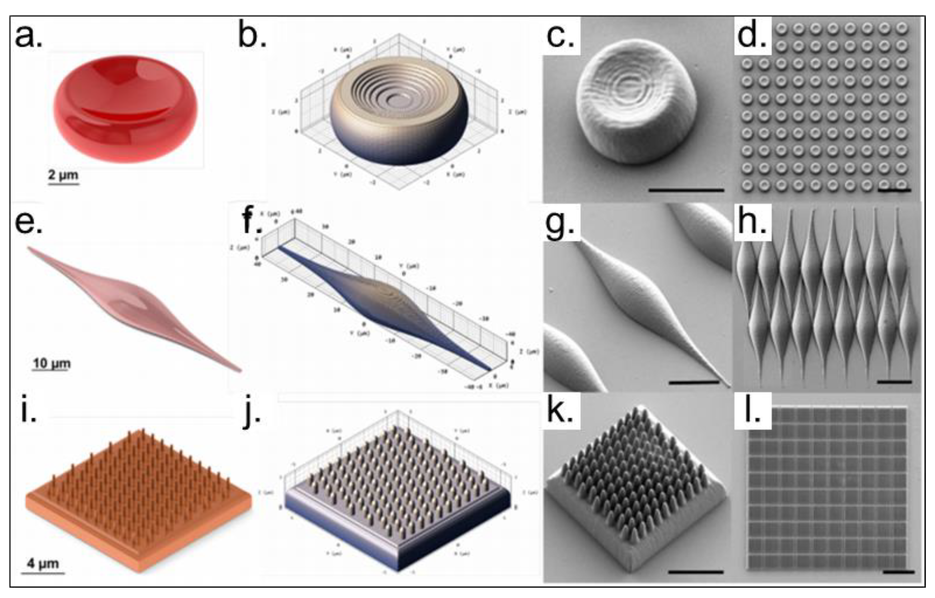 Polymers 13 01994 g016