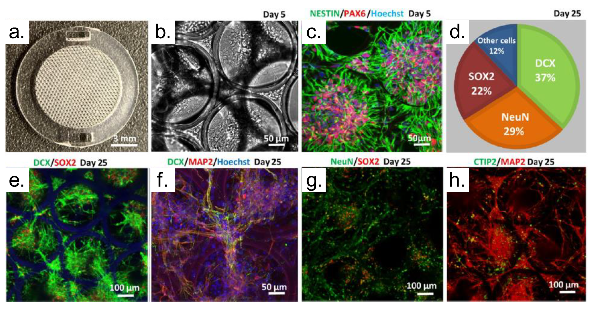 Polymers 13 01994 g018