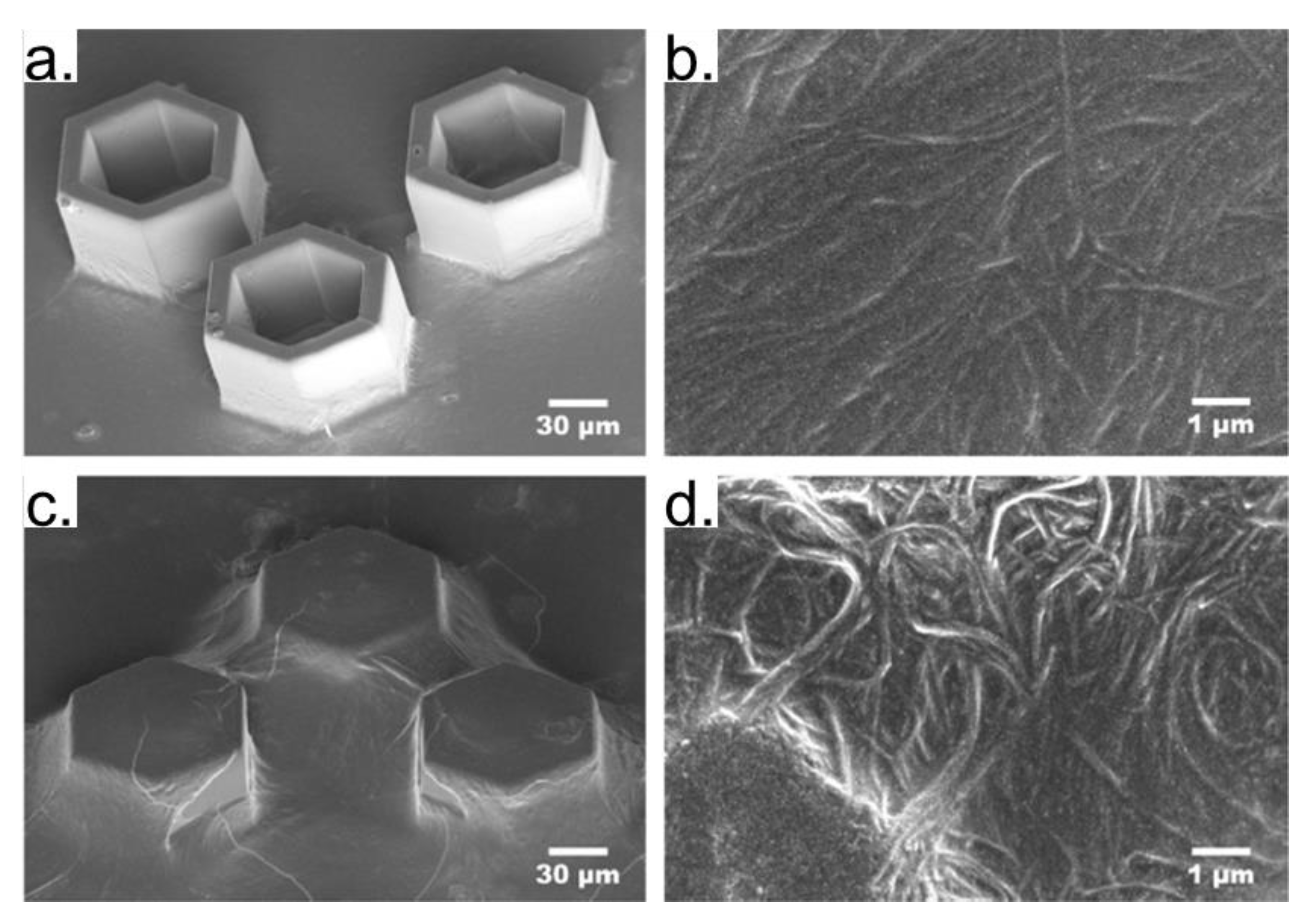 Polymers 13 01994 g019