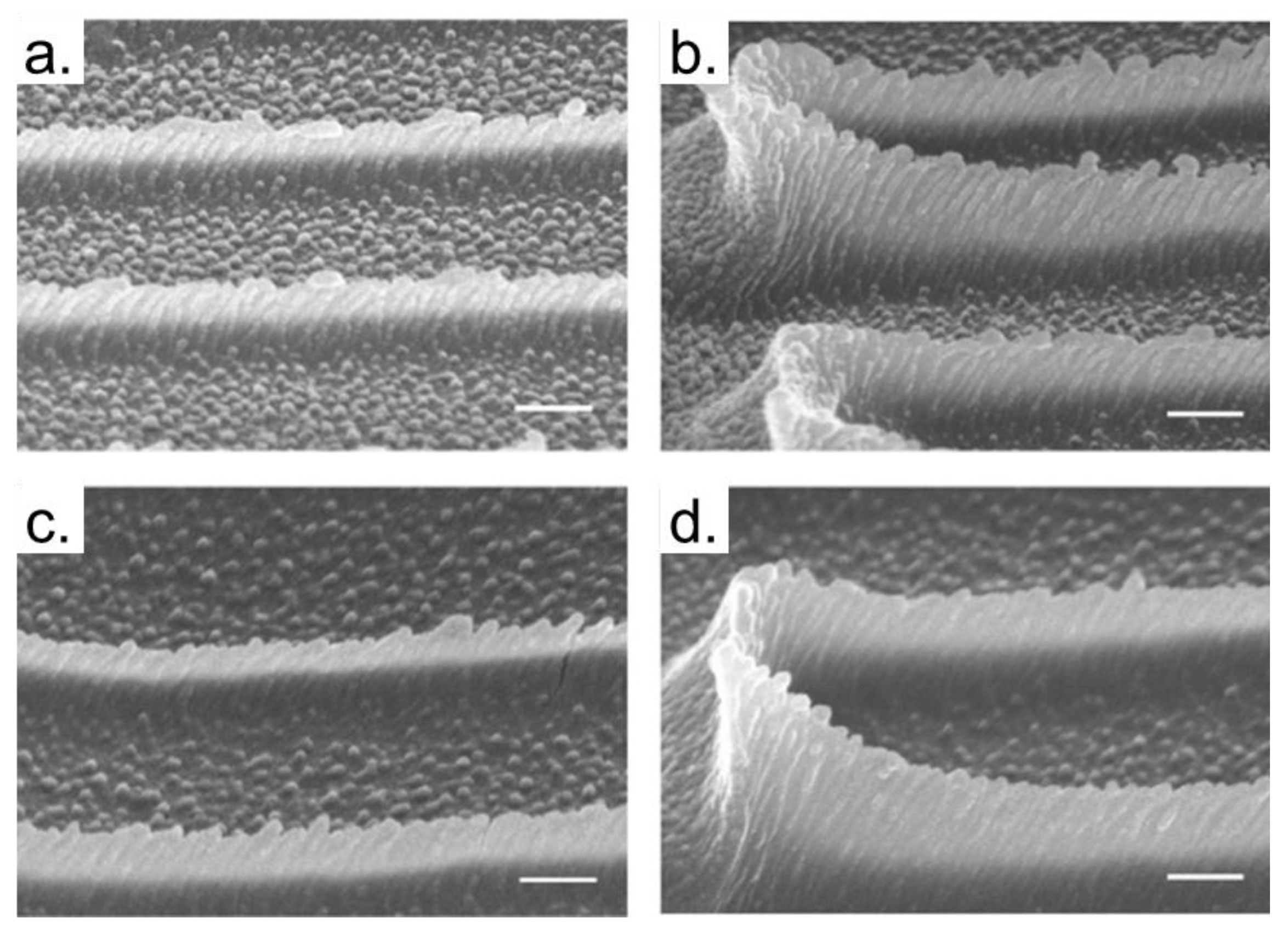 Polymers 13 01994 g020
