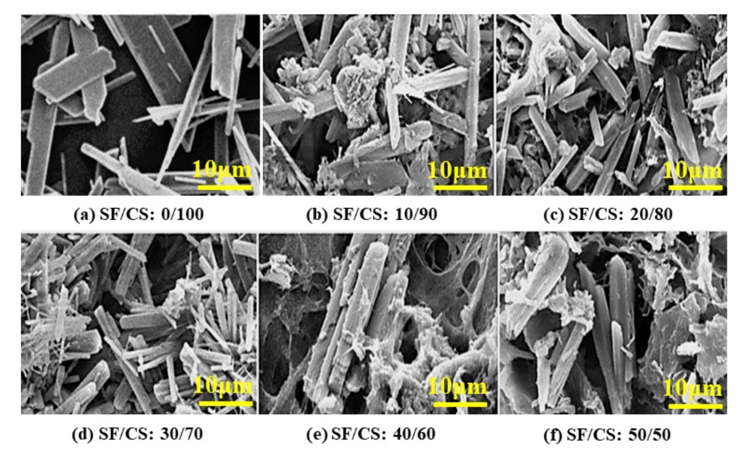 Polymers 13 01996 g004