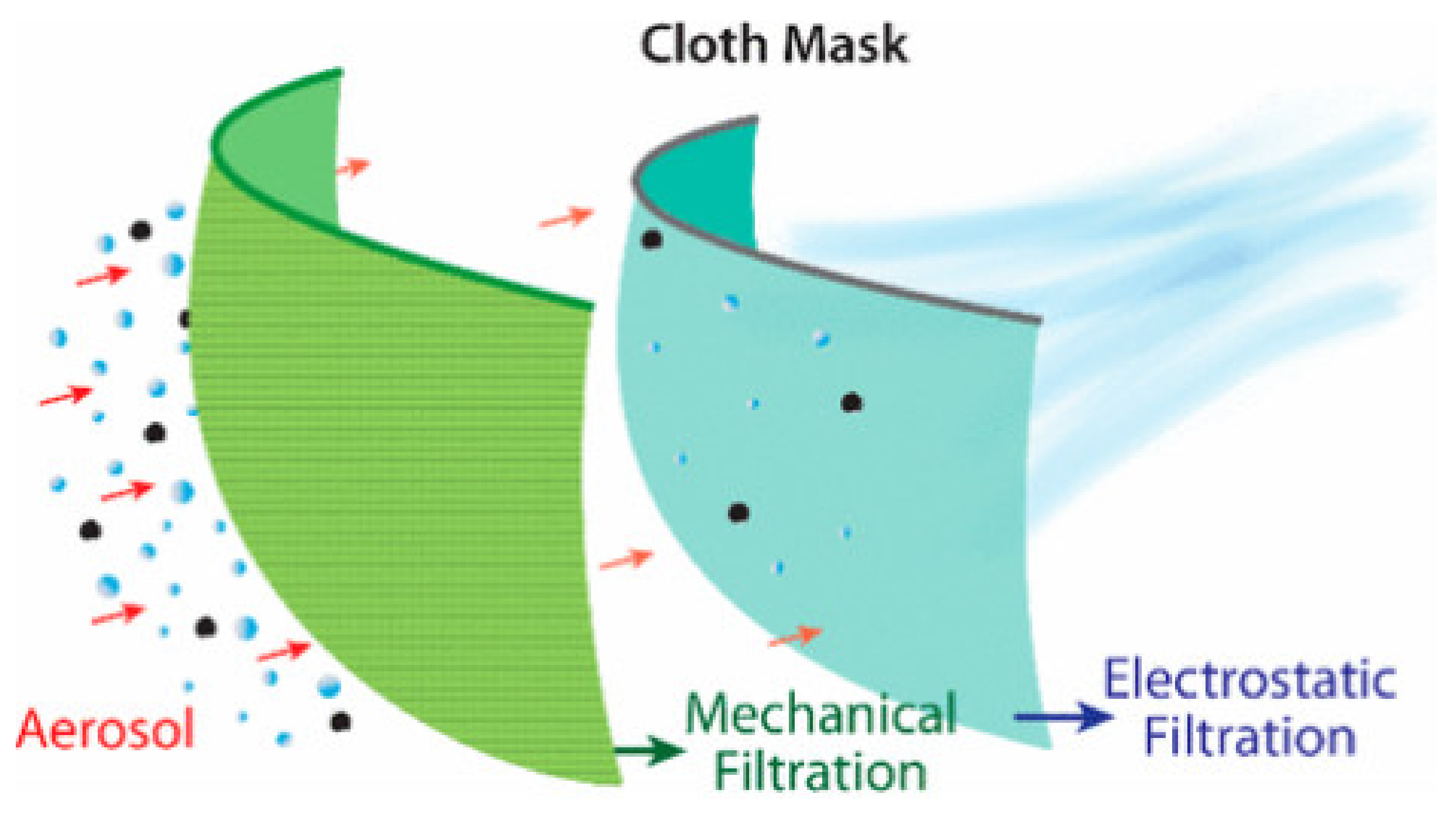 Polymers 13 01998 g001