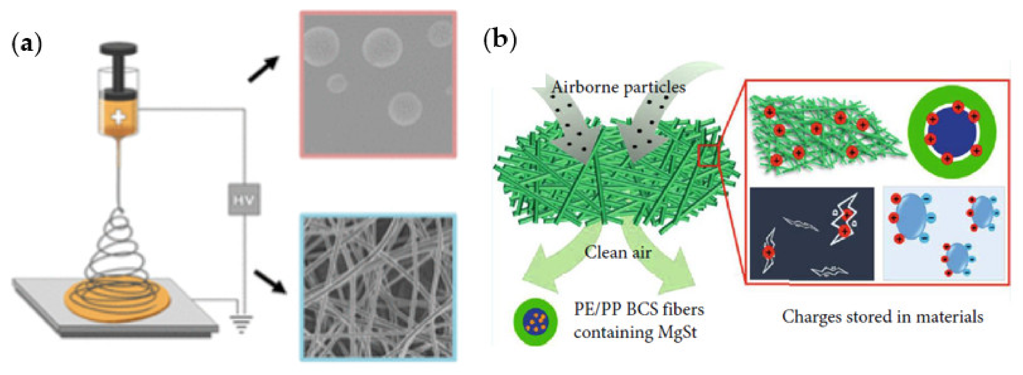 Polymers 13 01998 g002