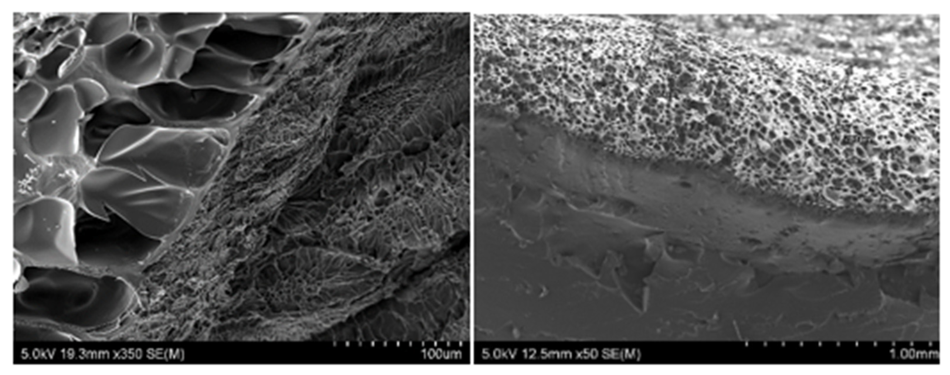 Polymers 13 02000 g002