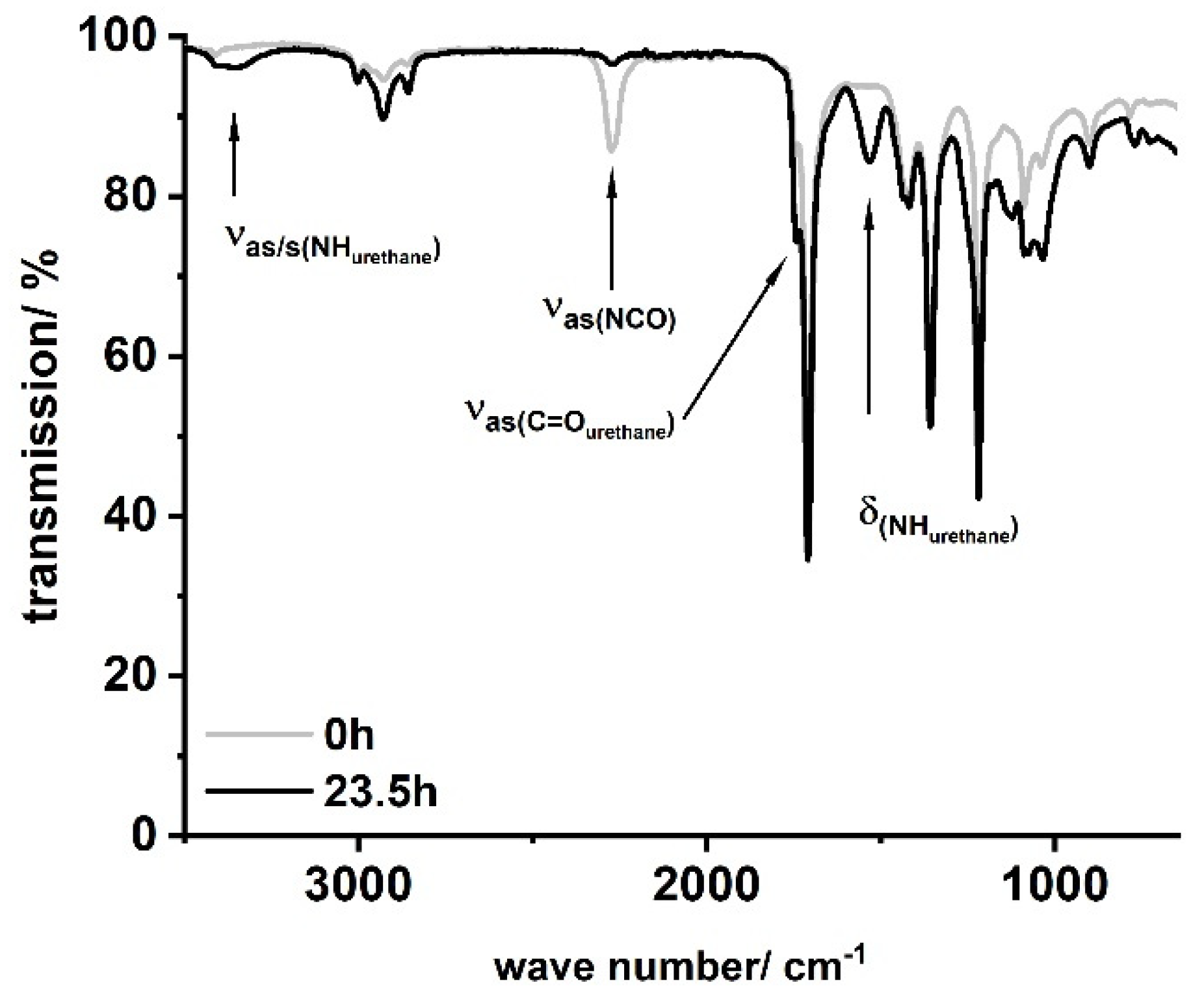 Polymers 13 02001 g006