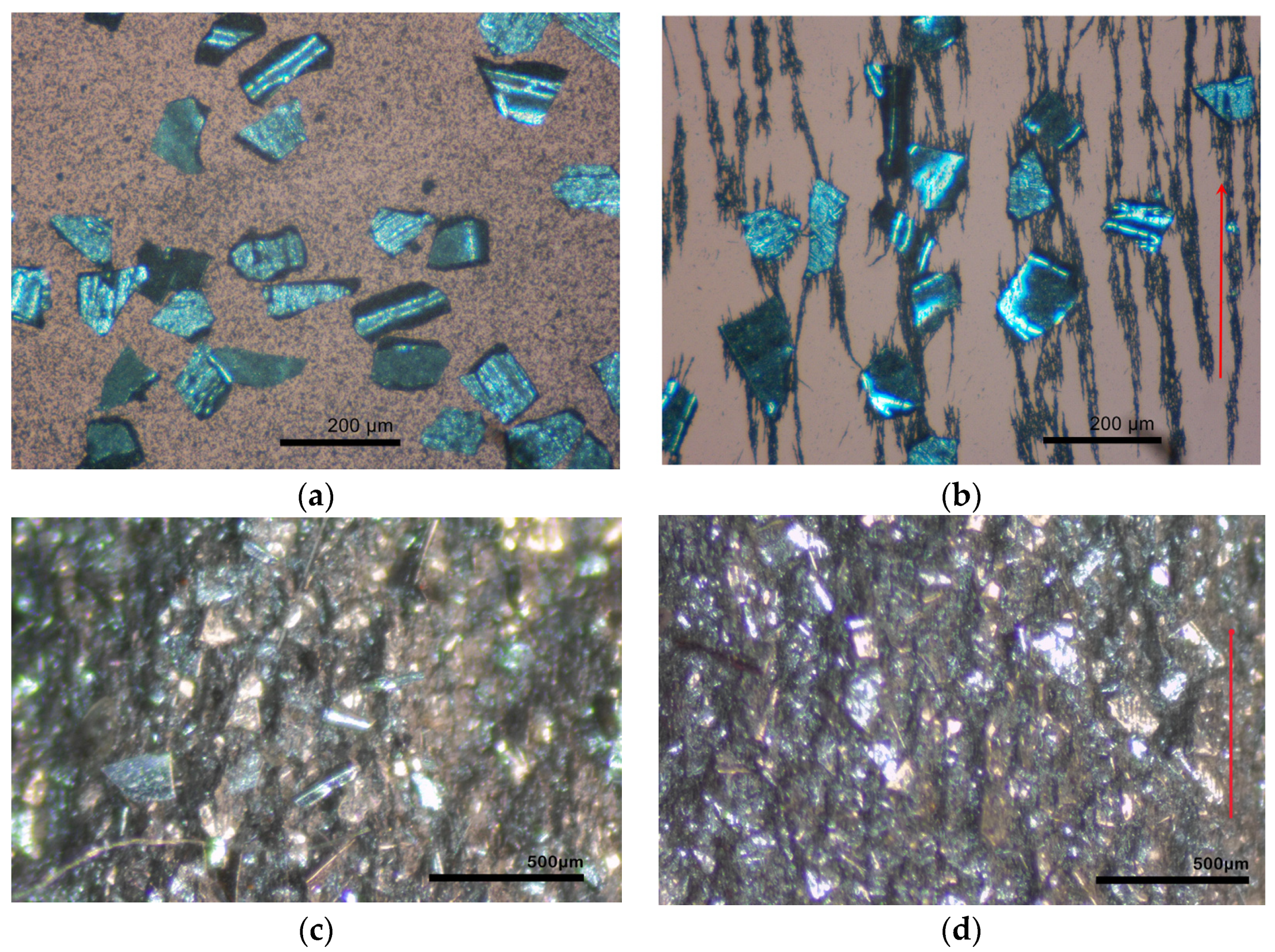 Polymers 13 02002 g002 Polymers 13 02002 g002