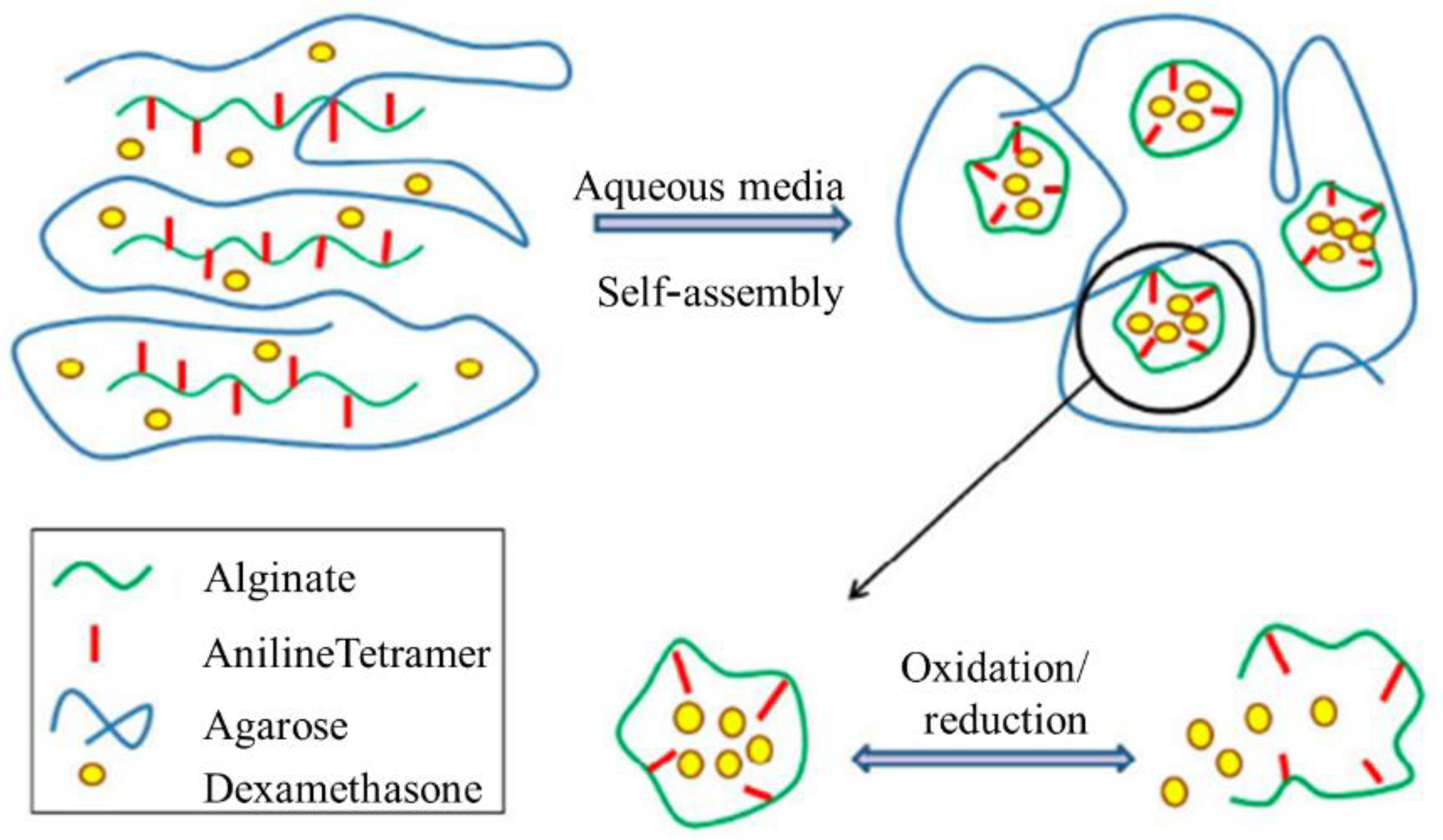 Polymers 13 02003 g030 Polymers 13 02003 g030
