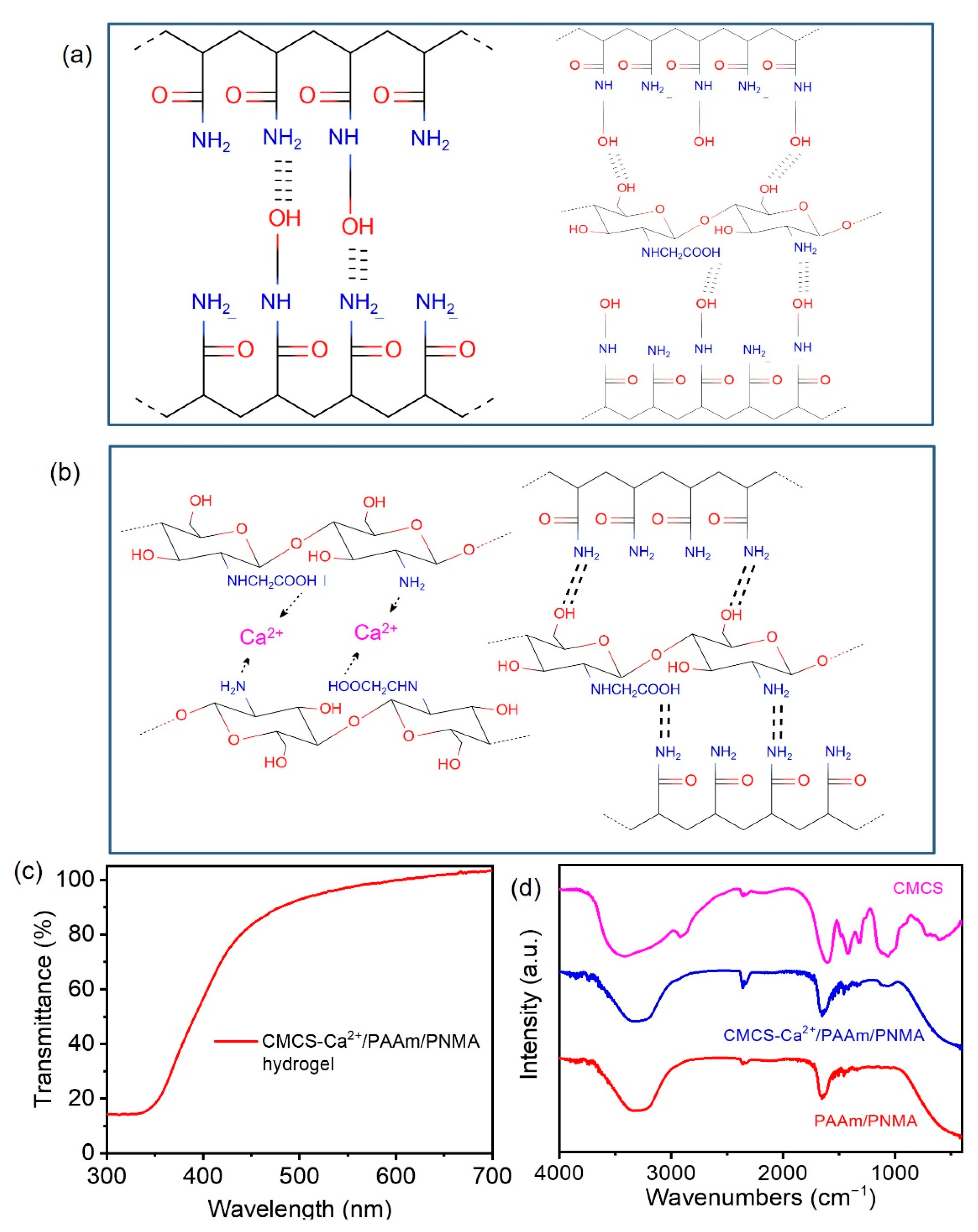 Polymers 13 02004 g001