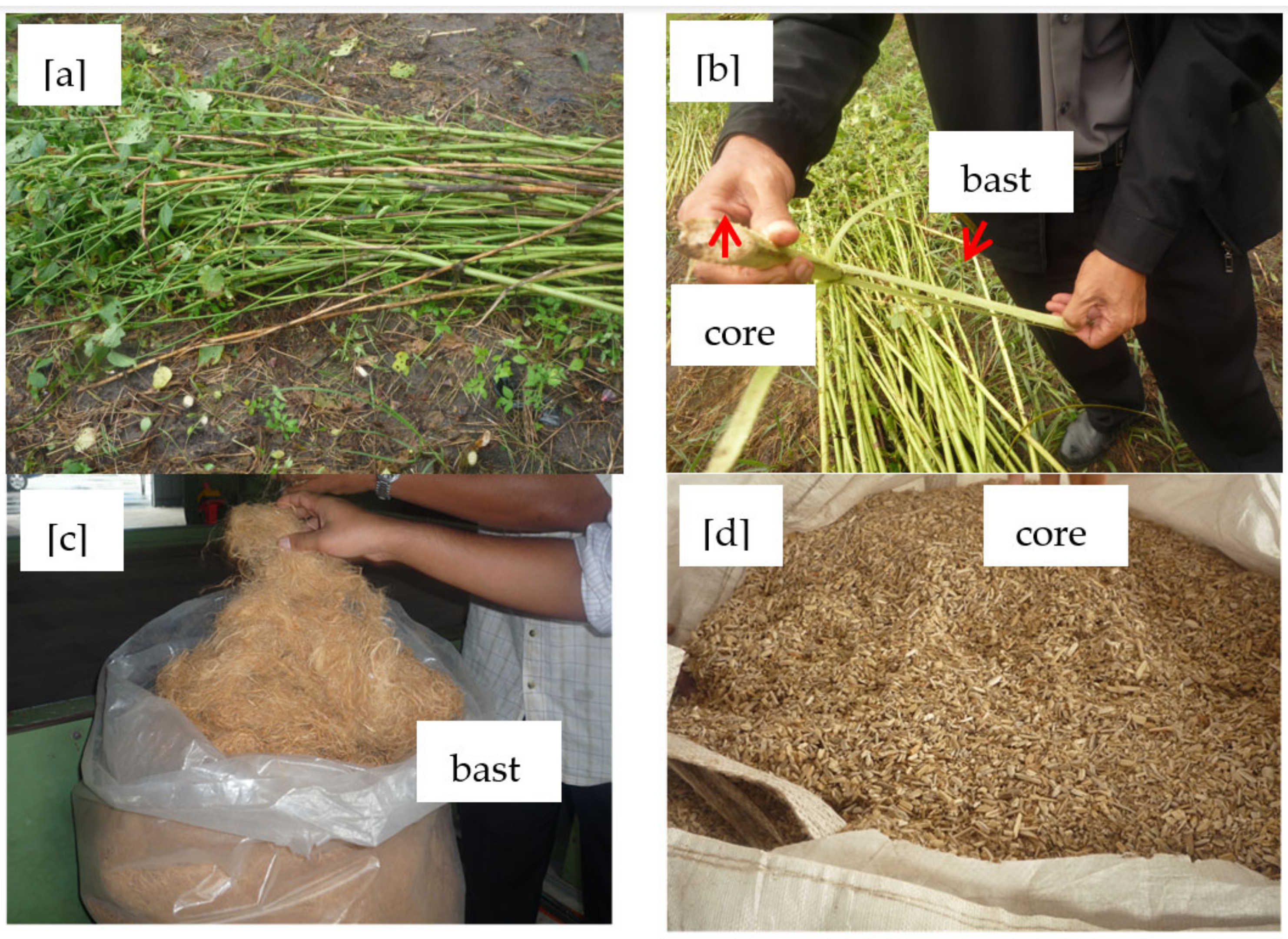 Polymers 13 02005 g001 Polymers 13 02005 g001