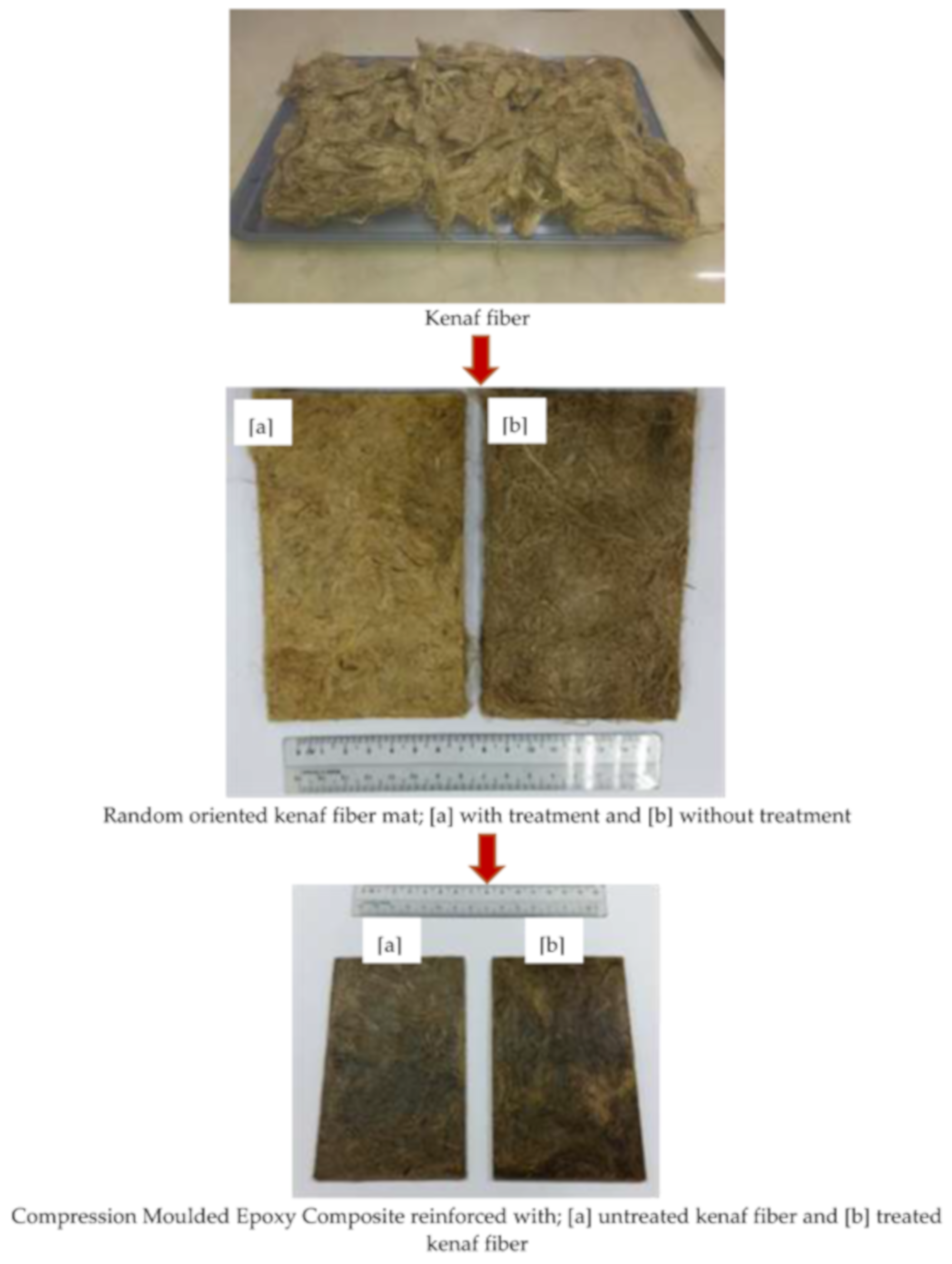 Polymers 13 02005 g003 Polymers 13 02005 g003