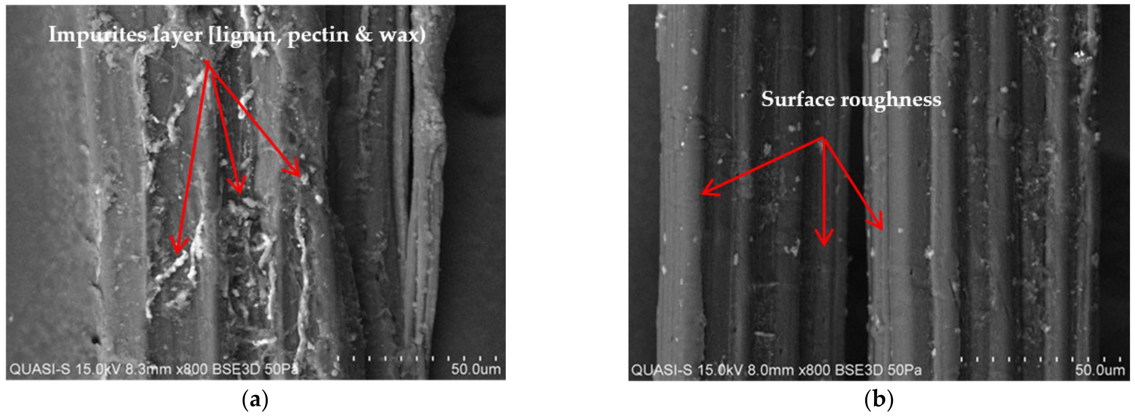 Polymers 13 02005 g007 Polymers 13 02005 g007