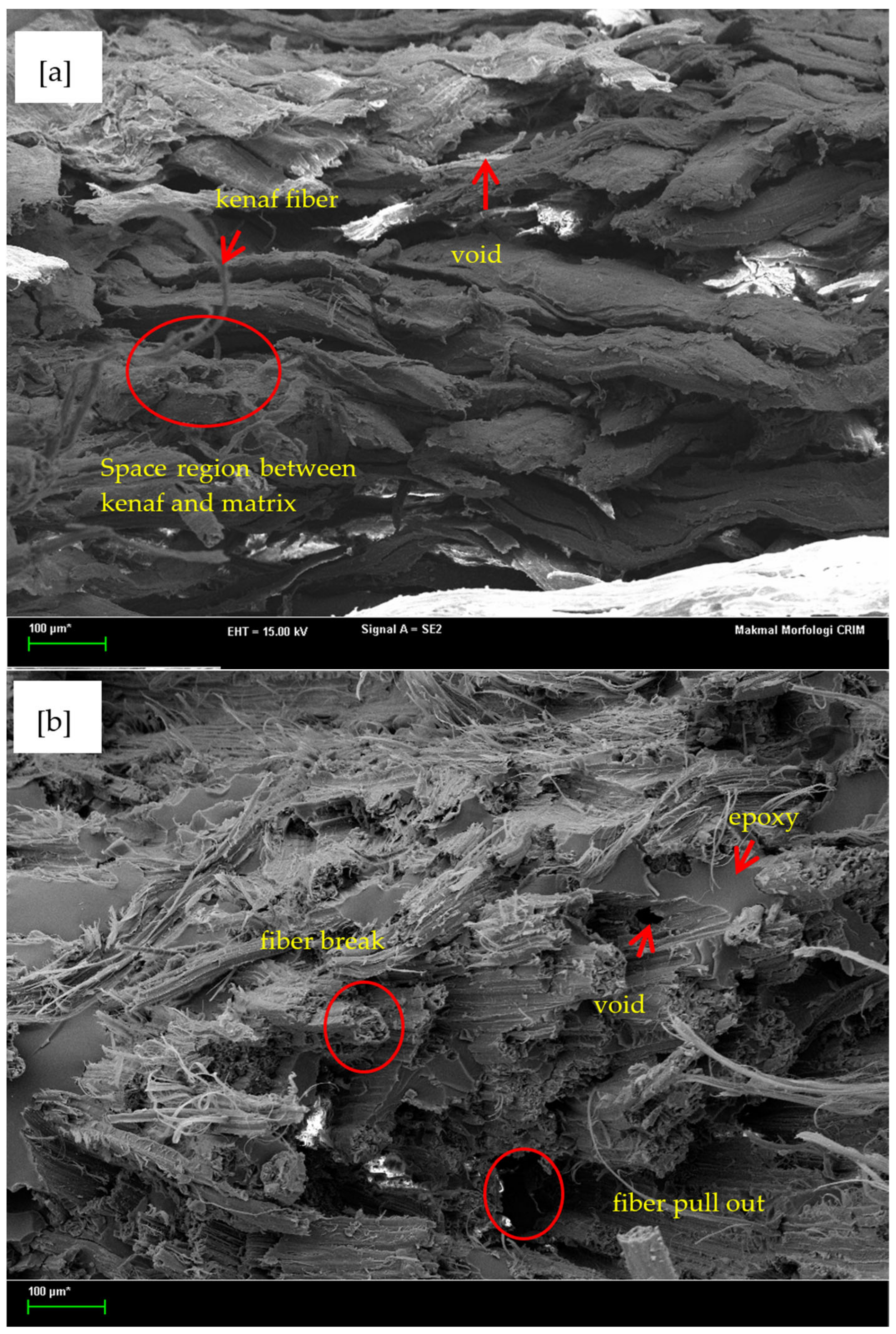 Polymers 13 02005 g013 Polymers 13 02005 g013