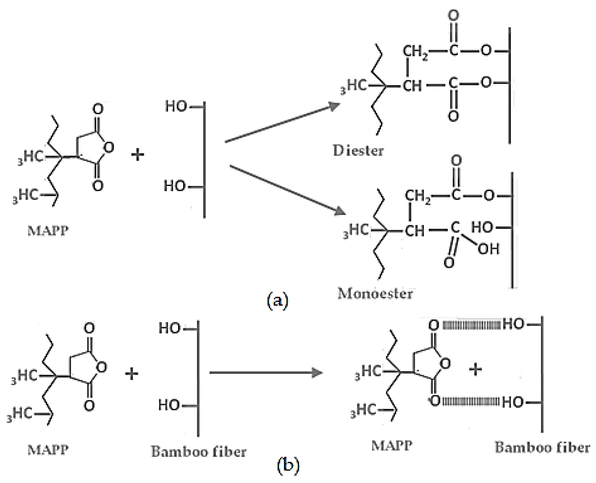 Polymers 13 02007 g001a