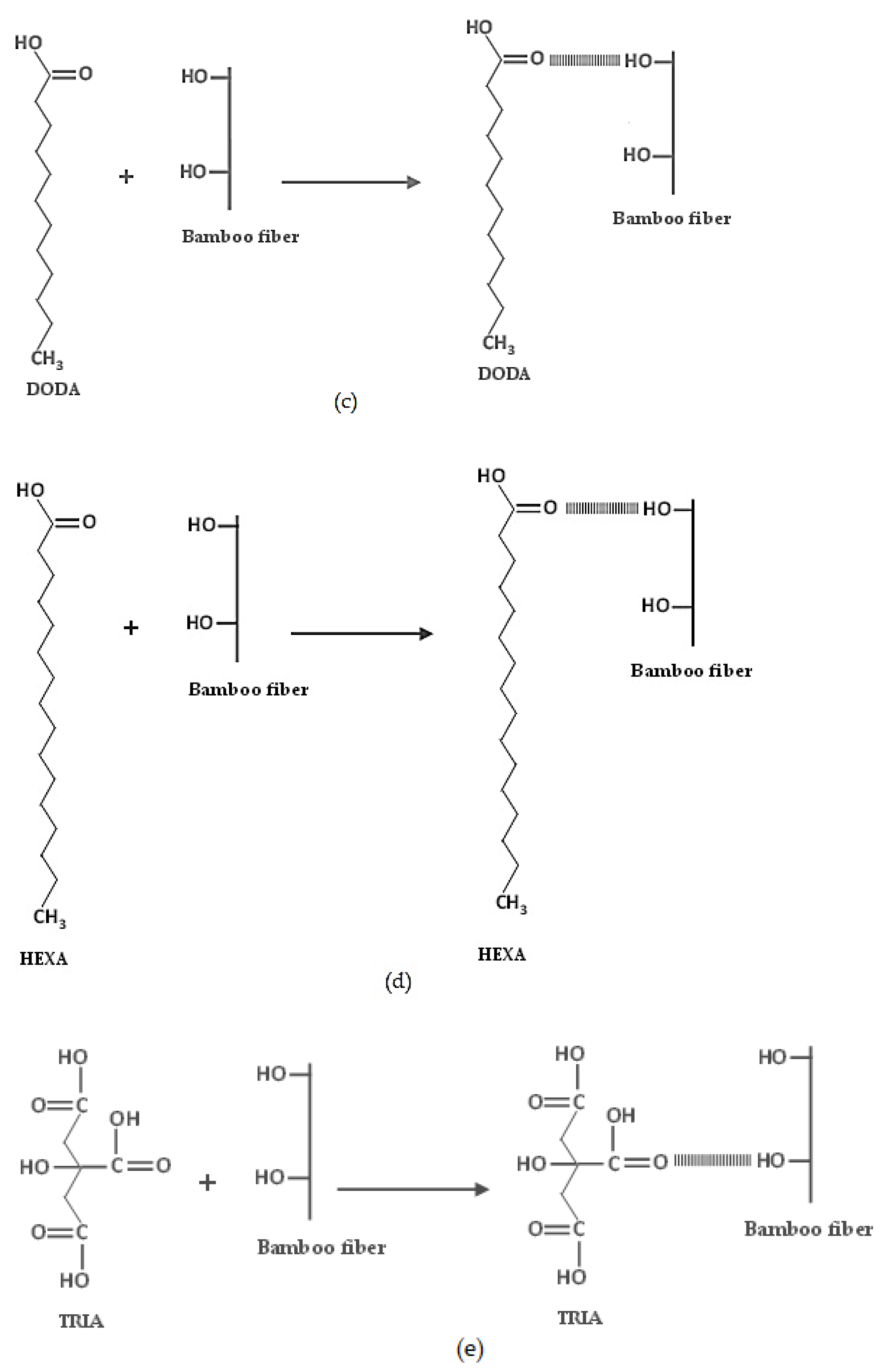 Polymers 13 02007 g001b