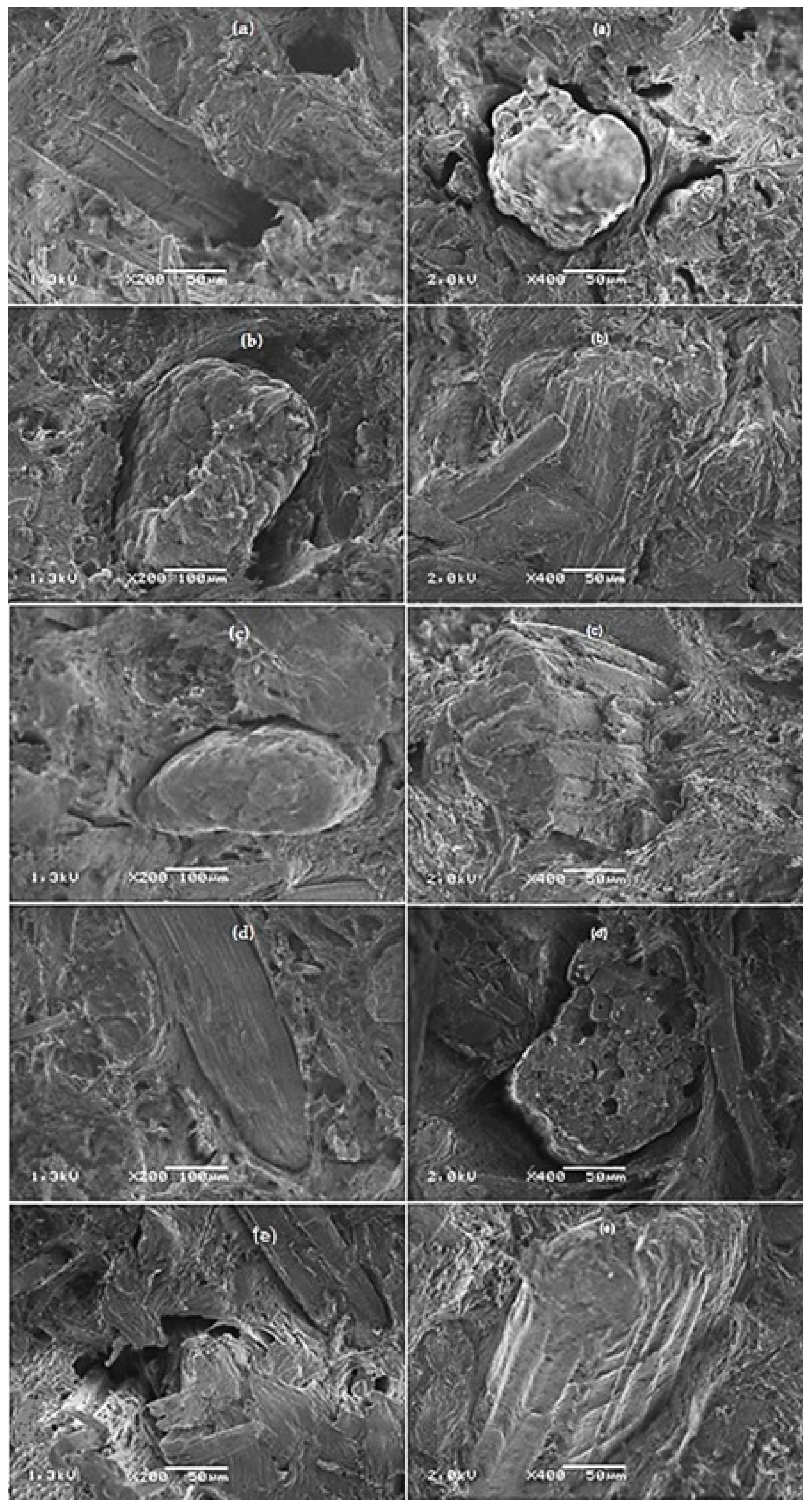 Polymers 13 02007 g006