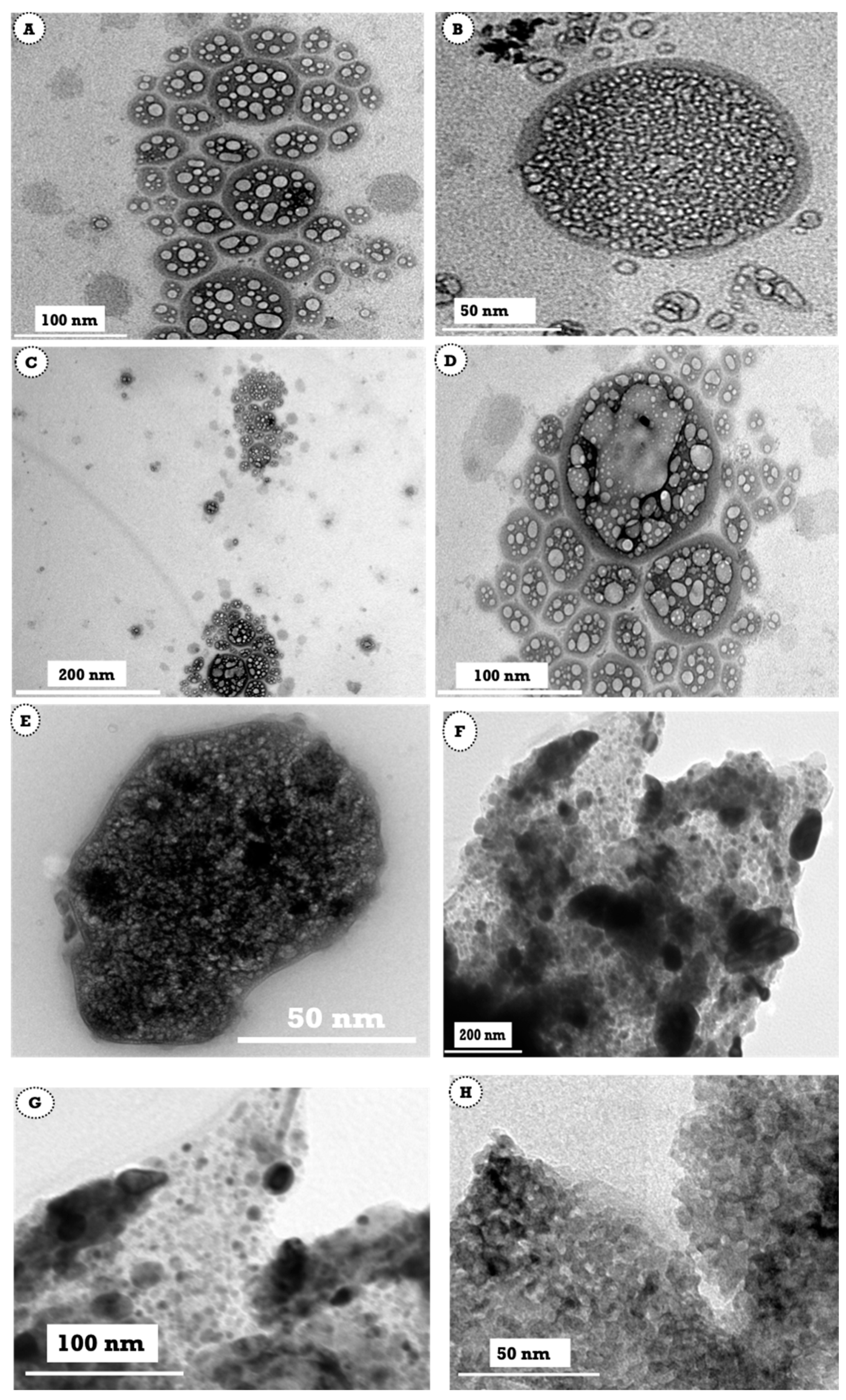 Polymers 13 02009 g002