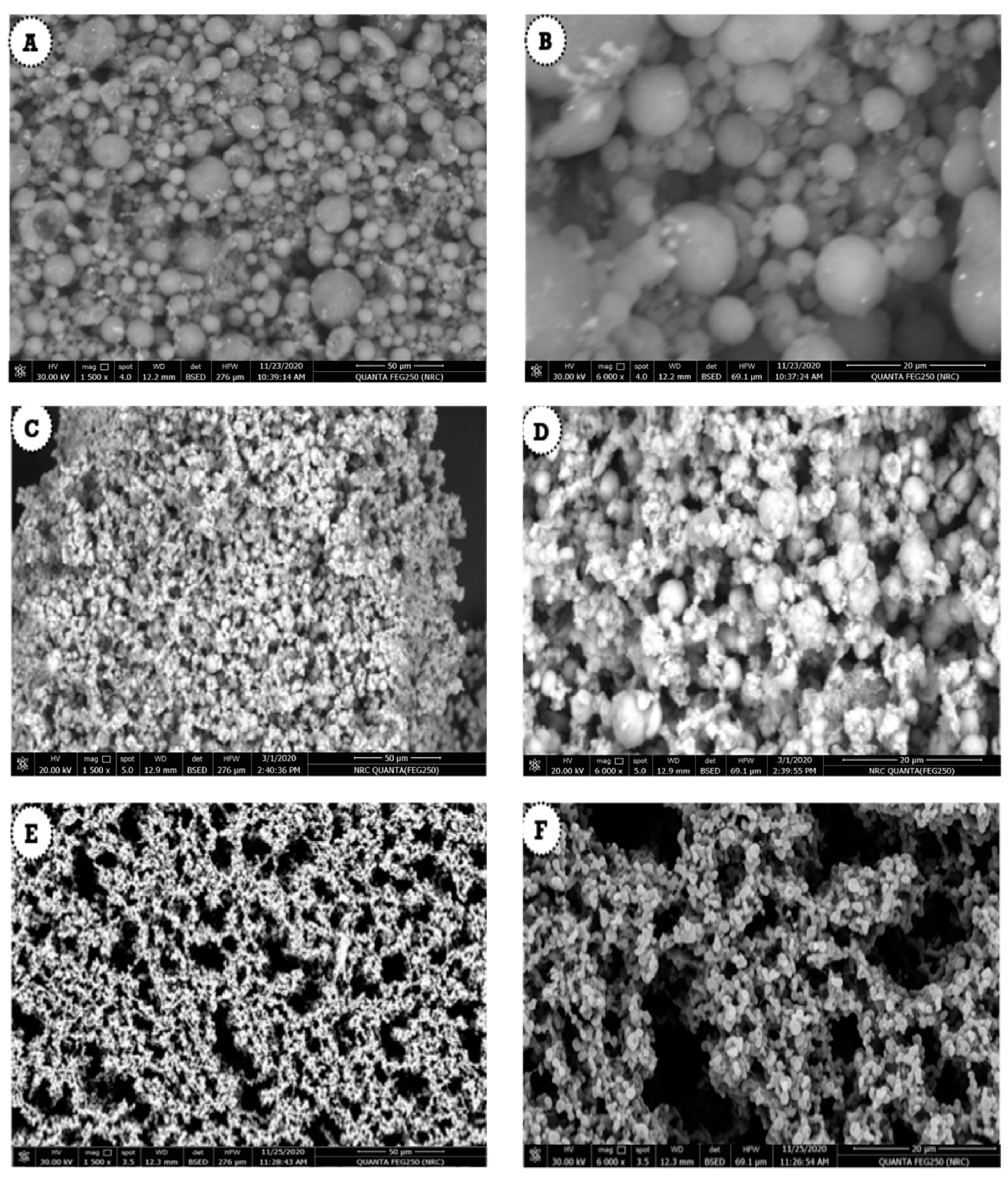 Polymers 13 02009 g004