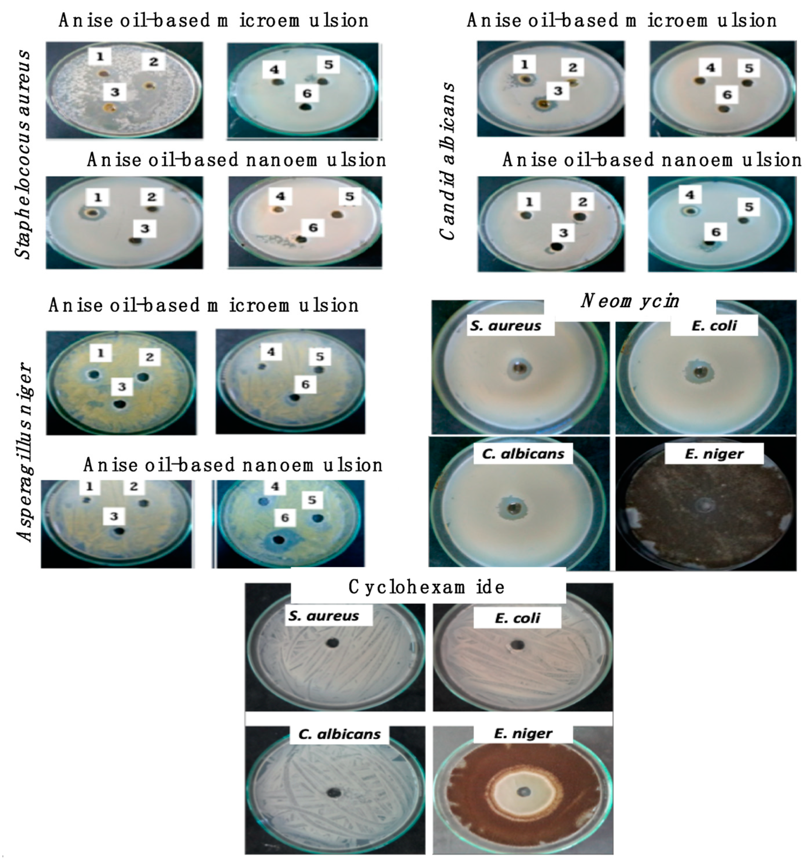 Polymers 13 02009 g005