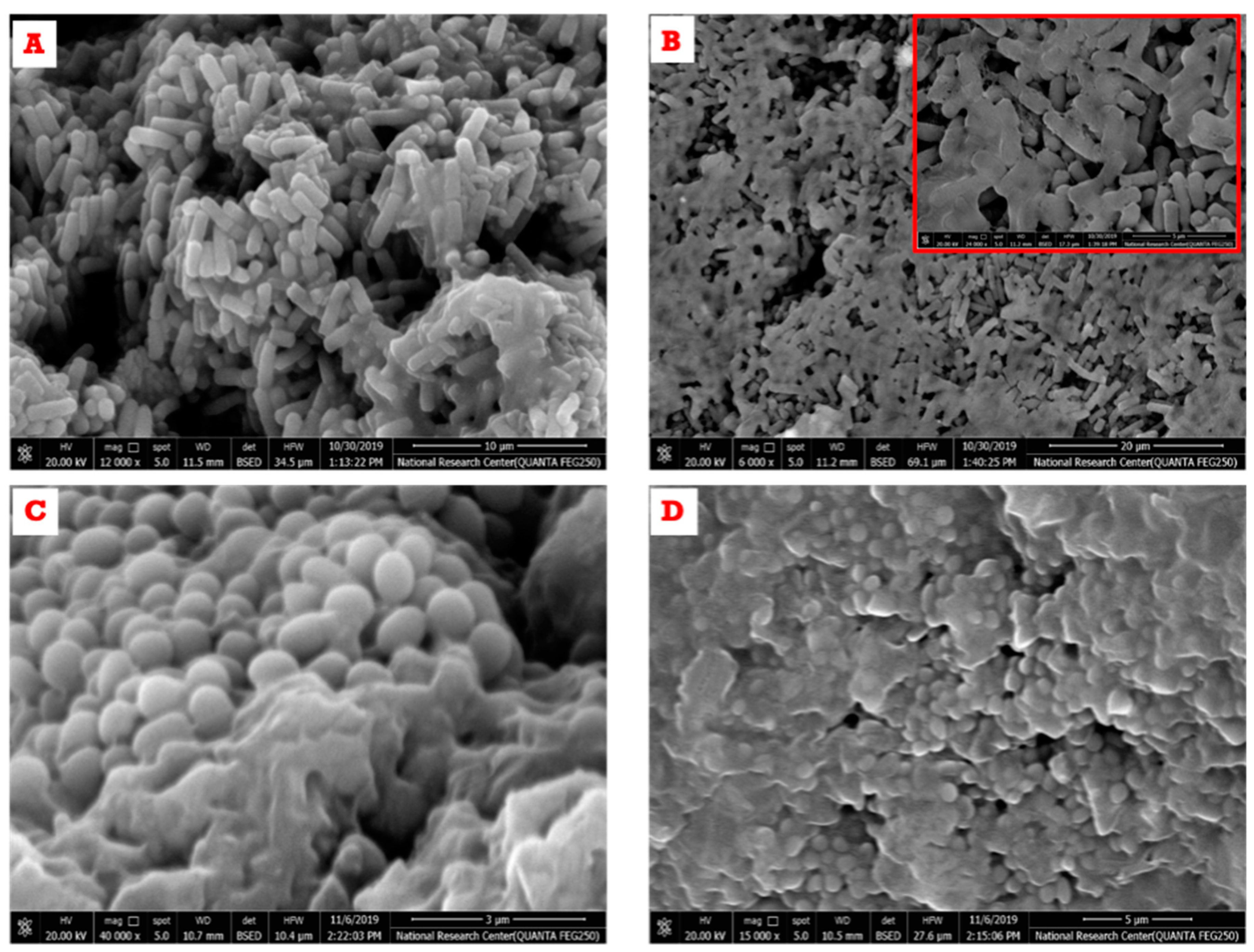 Polymers 13 02009 g010