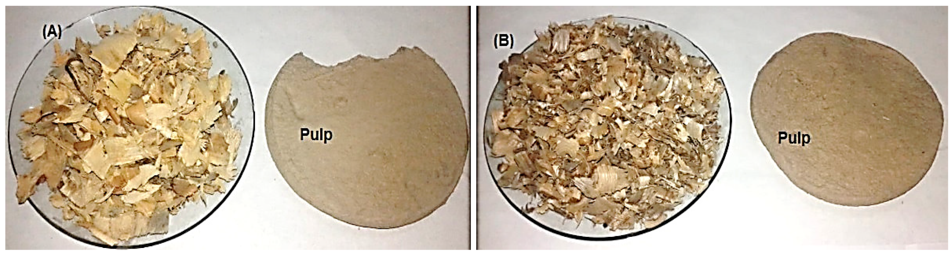 Polymers 13 02012 g001a