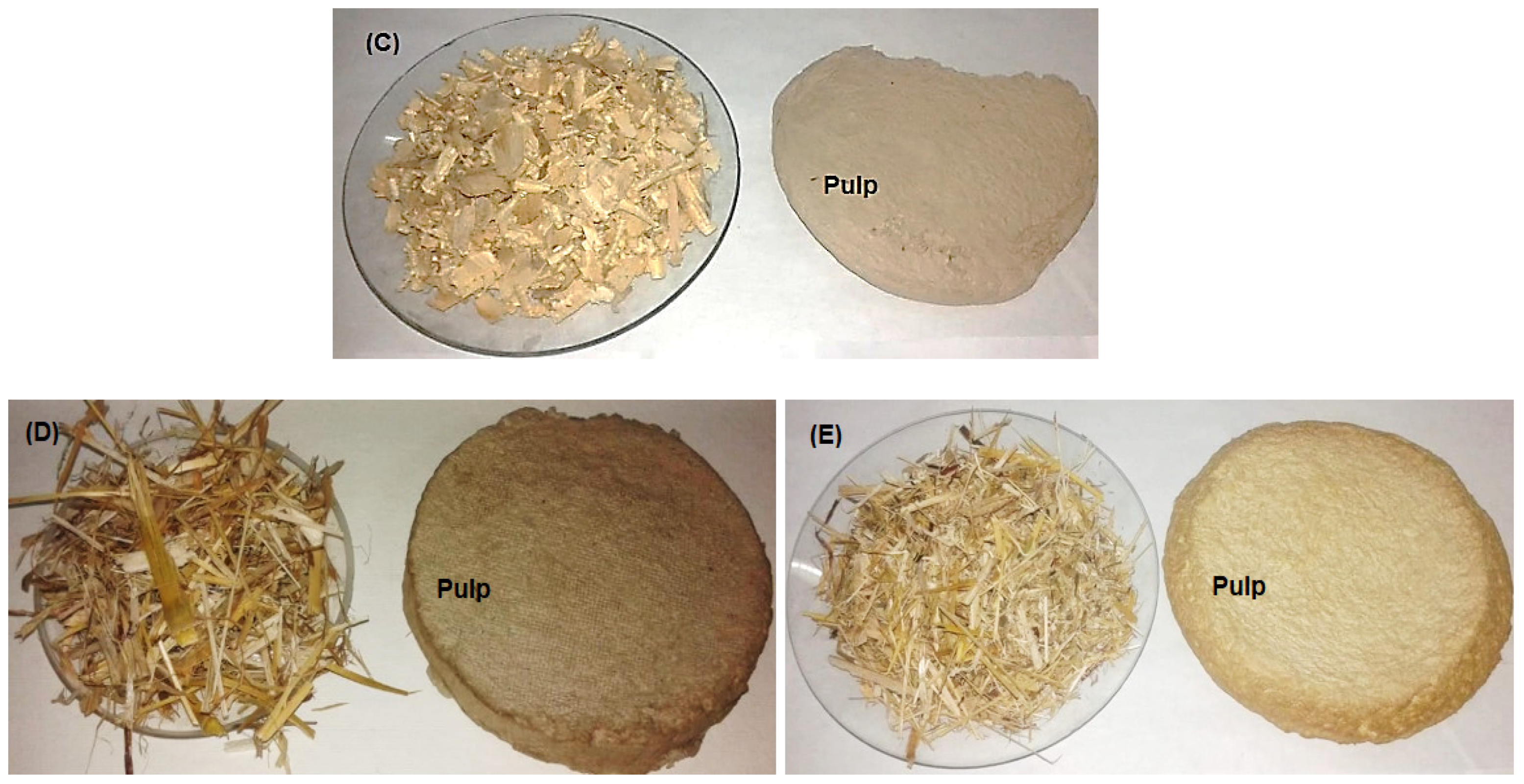Polymers 13 02012 g001b