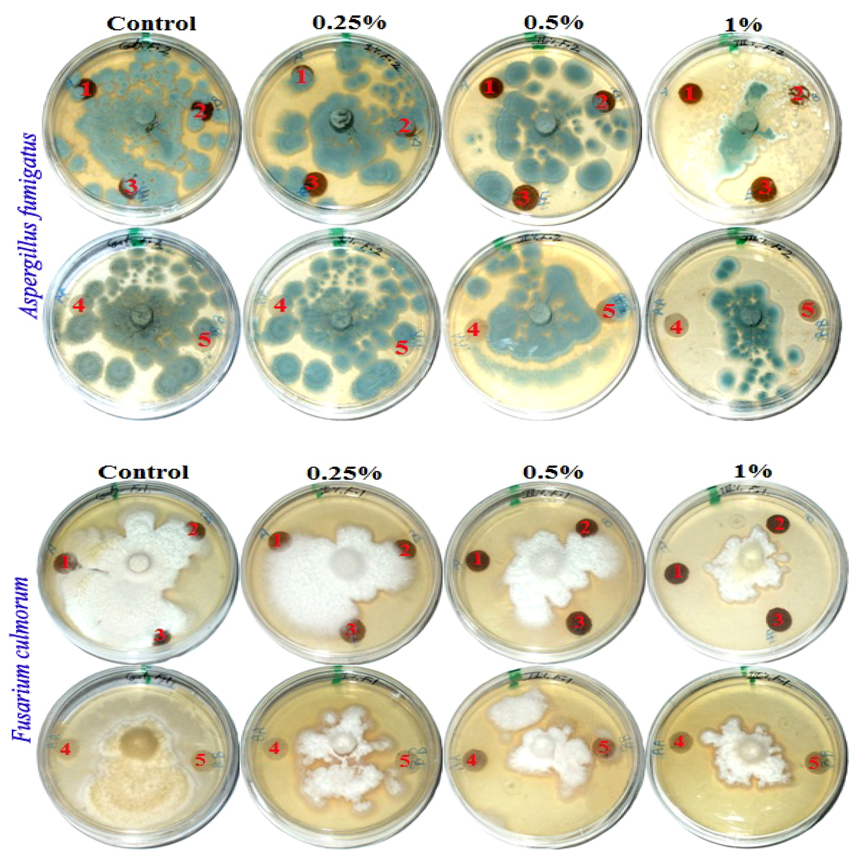 Polymers 13 02012 g002a