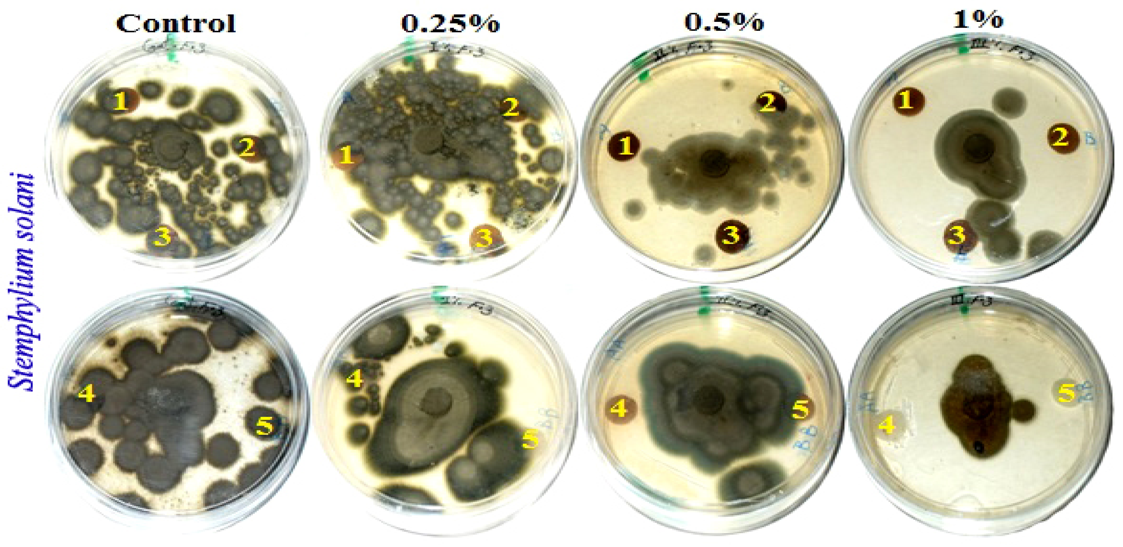 Polymers 13 02012 g002b