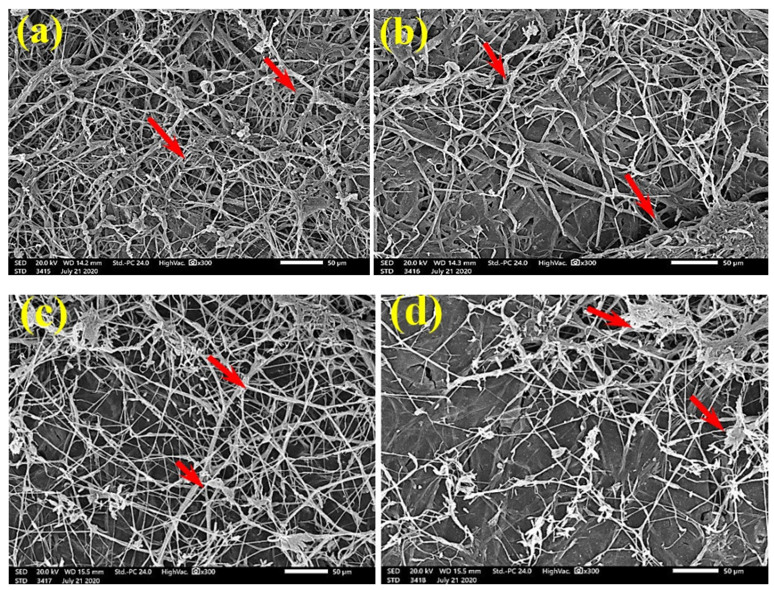 Polymers 13 02012 g003a