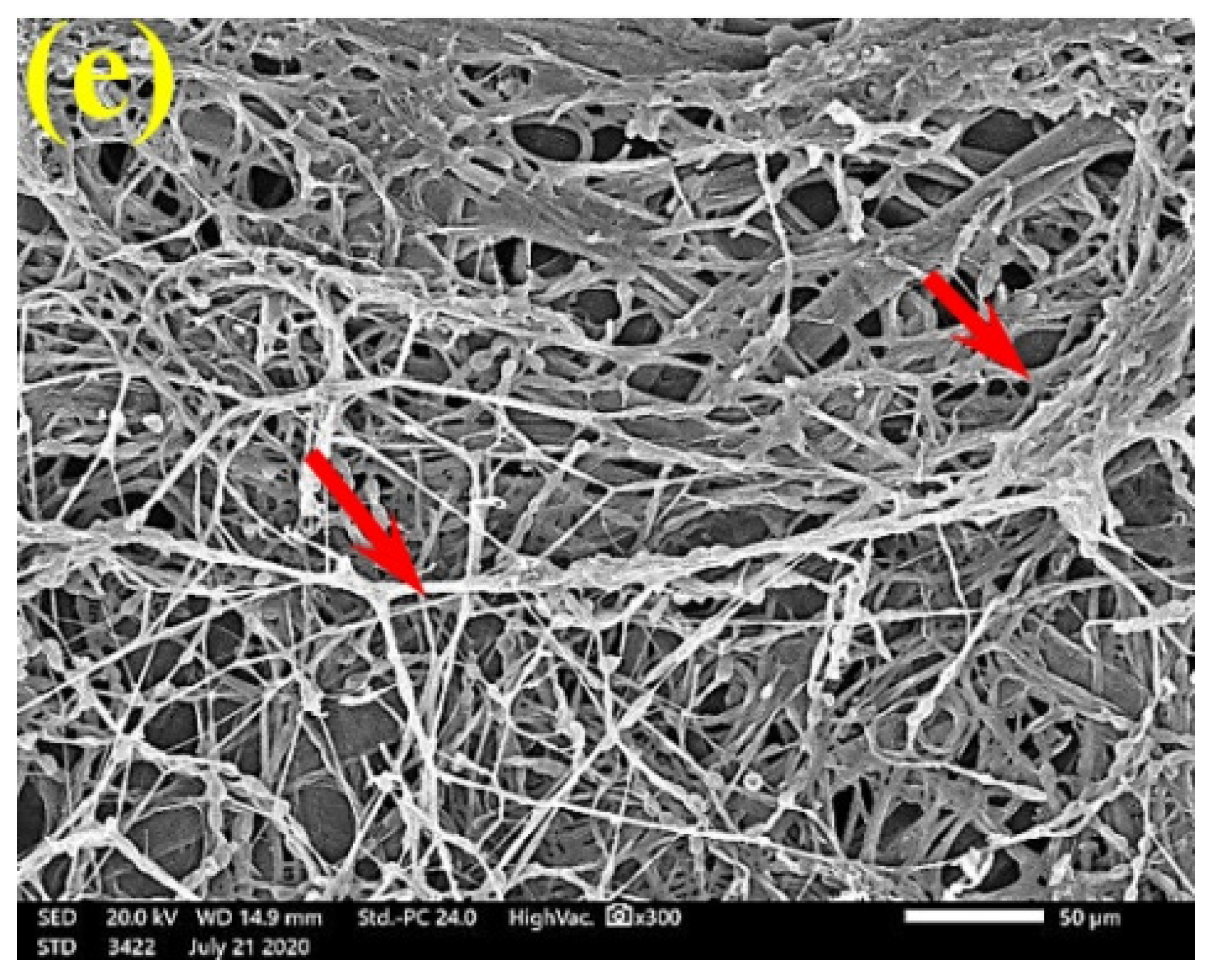 Polymers 13 02012 g003b