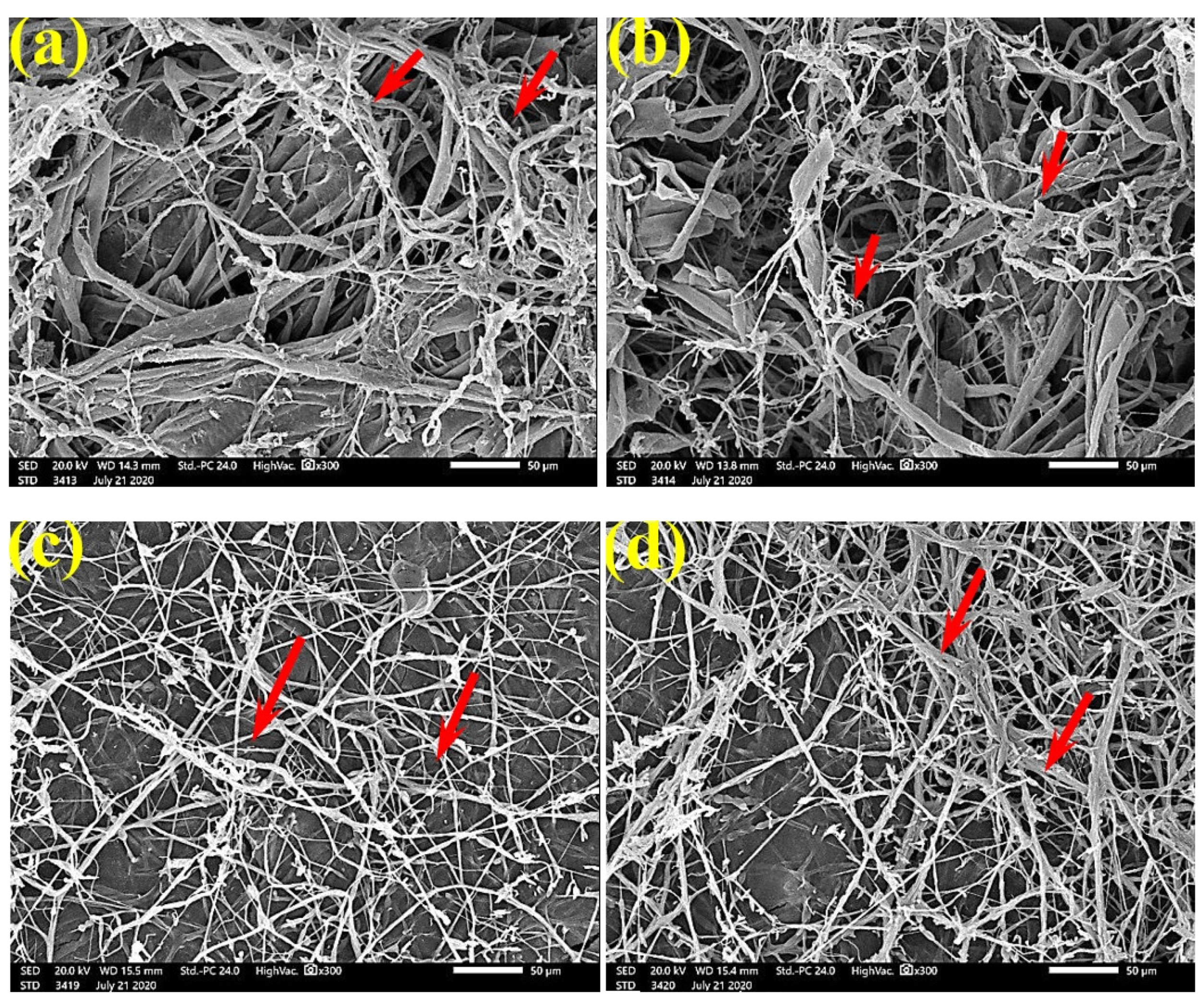 Polymers 13 02012 g004
