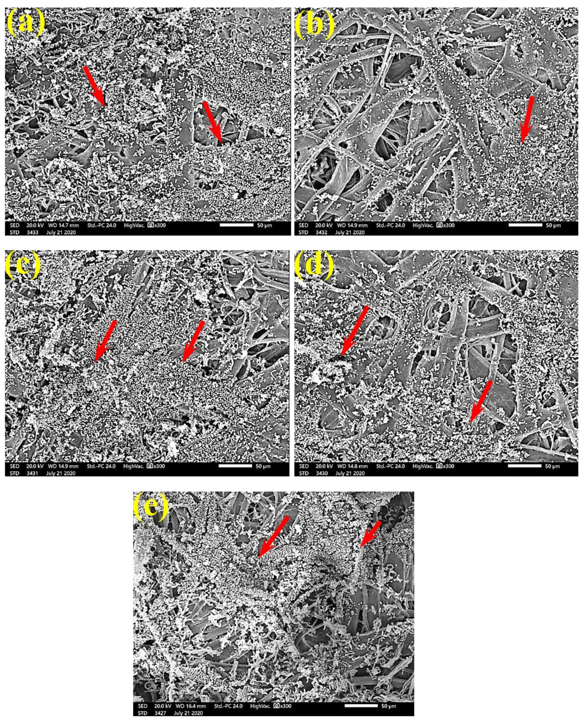 Polymers 13 02012 g006