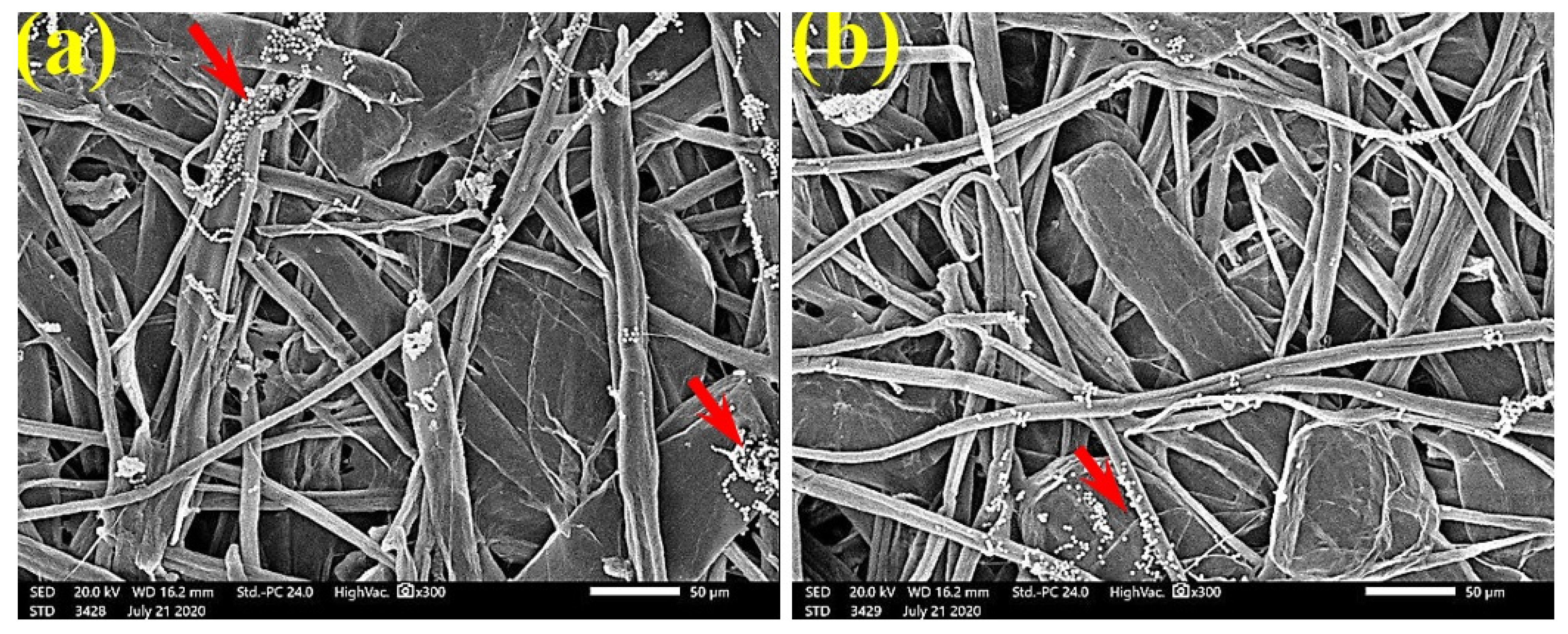 Polymers 13 02012 g008a