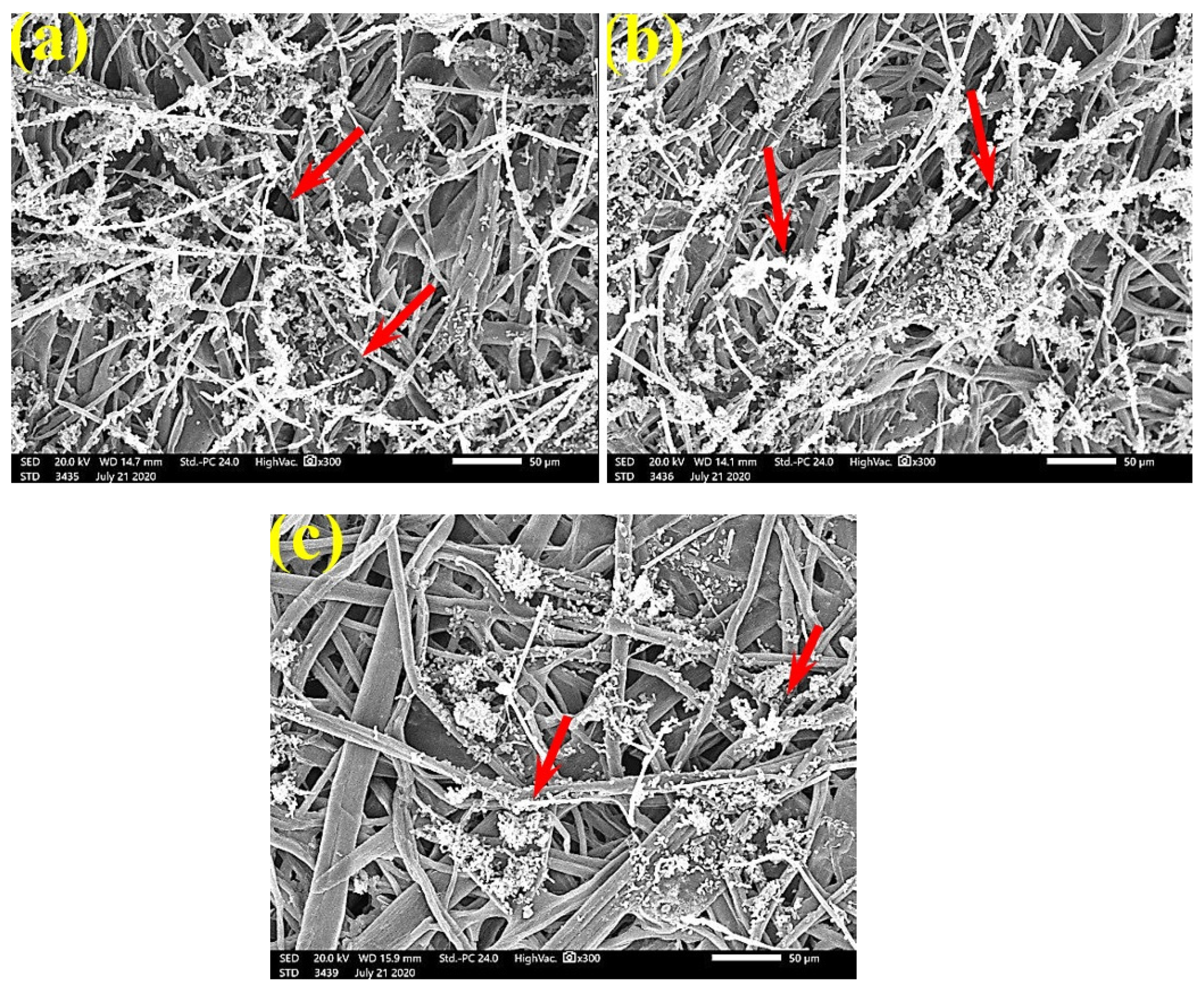 Polymers 13 02012 g009