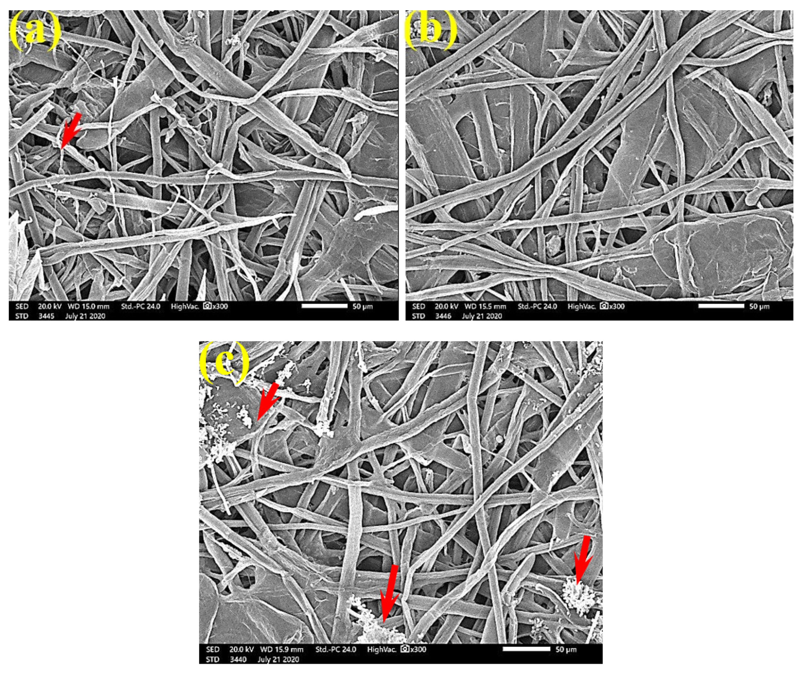 Polymers 13 02012 g012