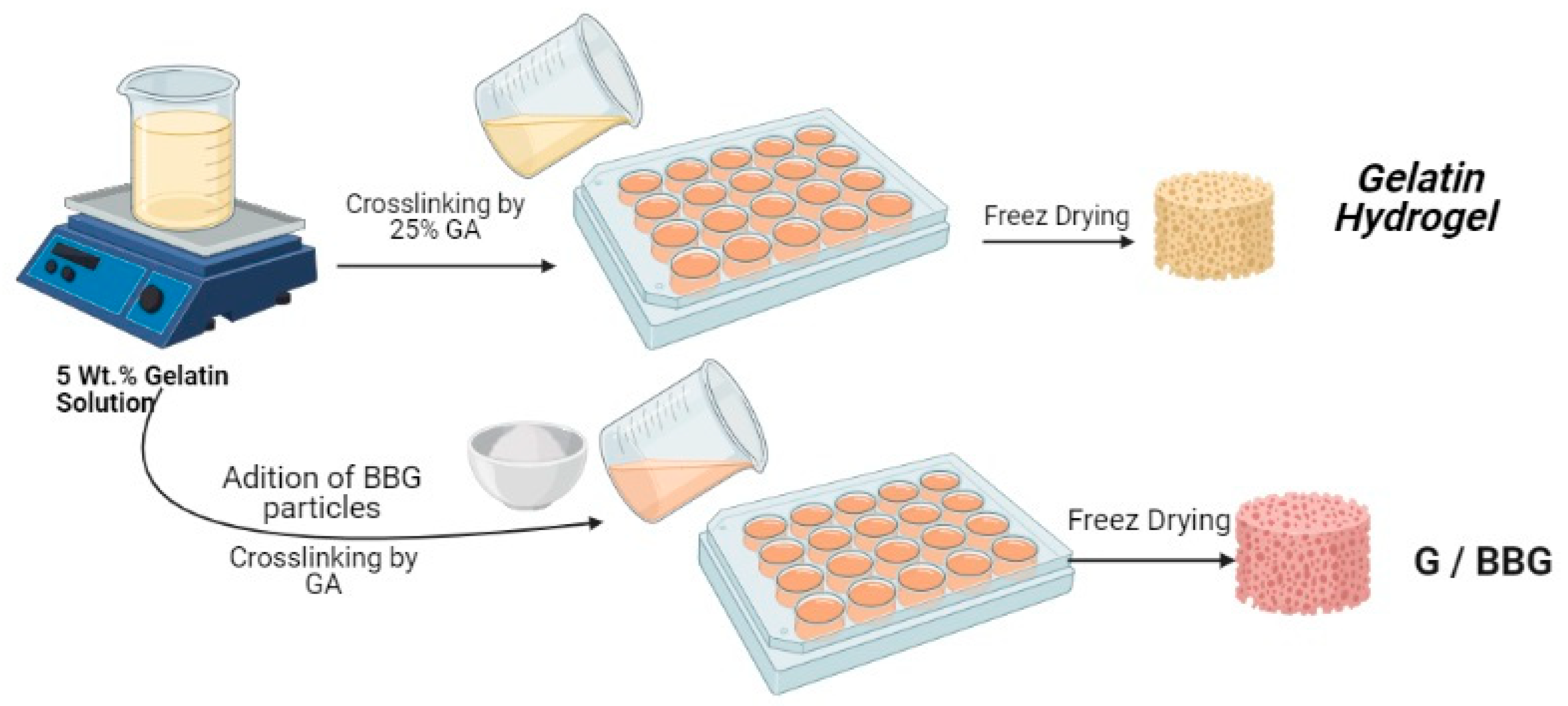 Polymers 13 02014 g001 Polymers 13 02014 g001