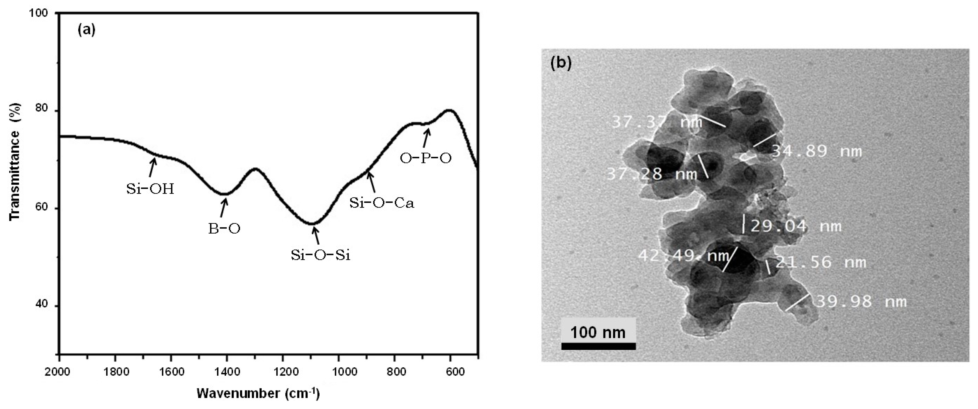Polymers 13 02014 g002 Polymers 13 02014 g002