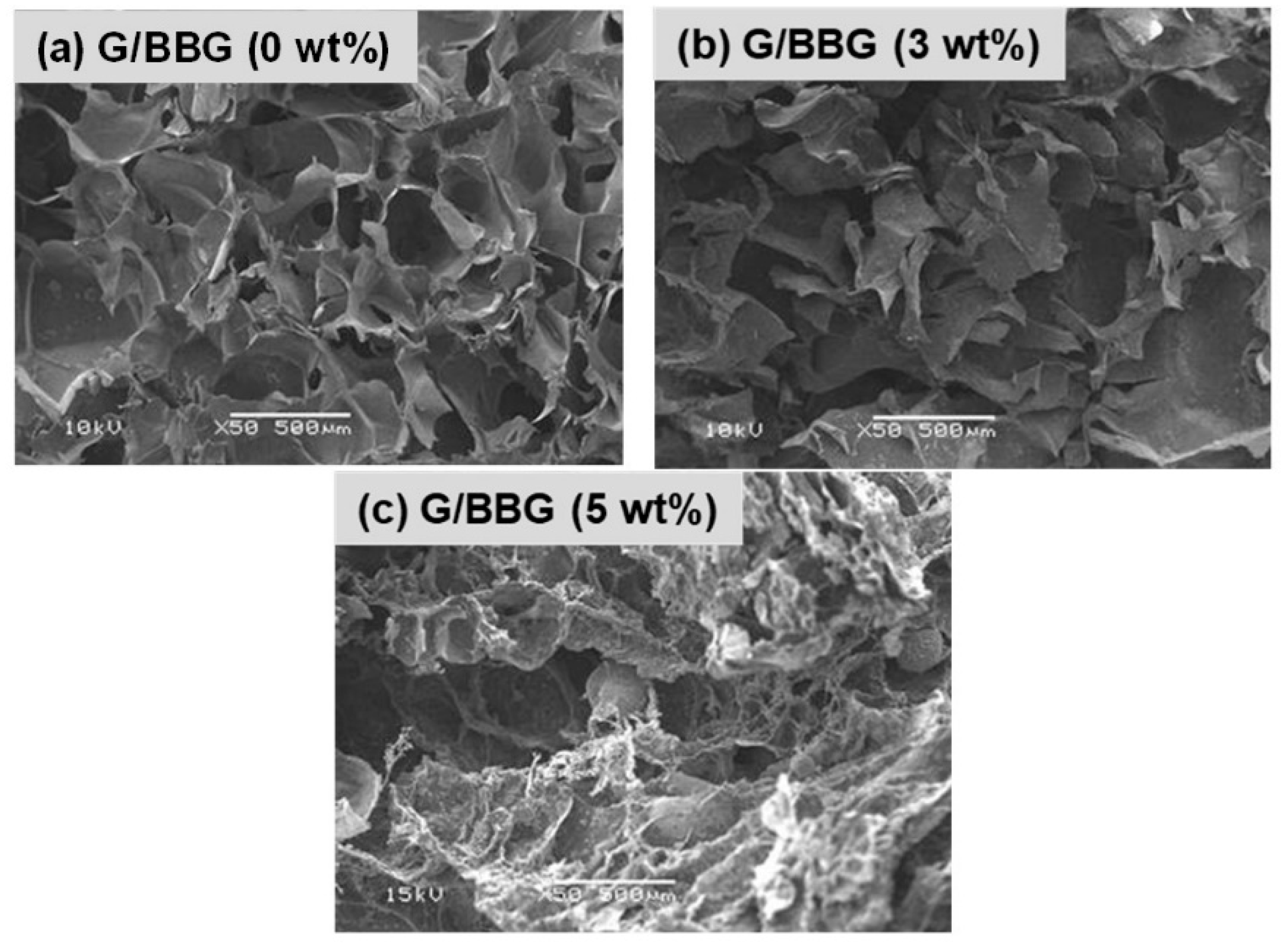 Polymers 13 02014 g005 Polymers 13 02014 g005
