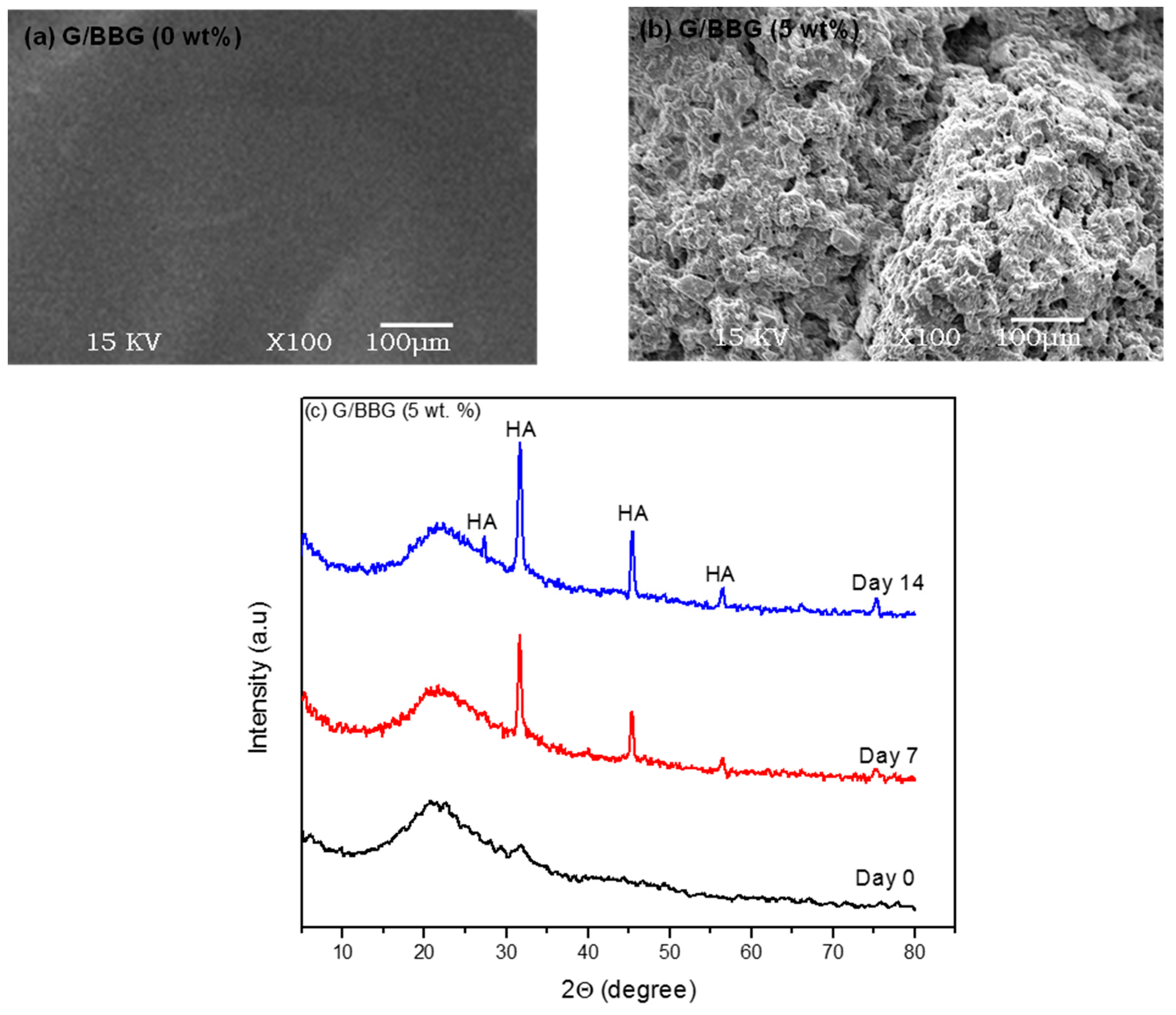 Polymers 13 02014 g010 Polymers 13 02014 g010