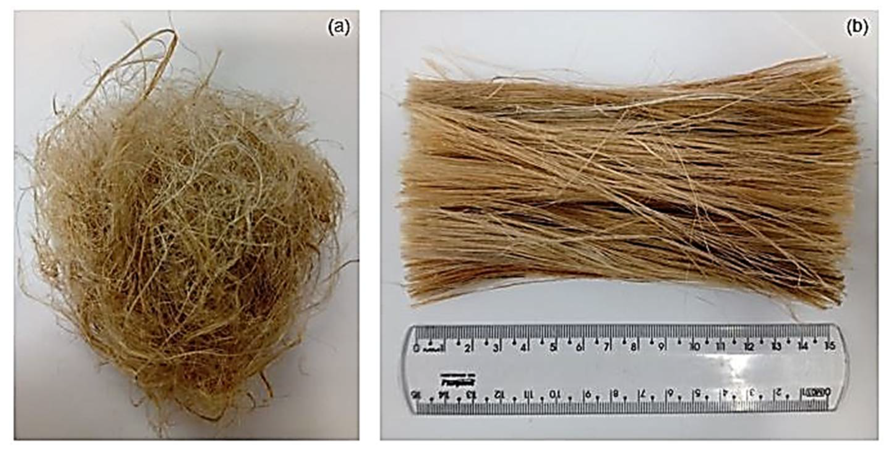 Polymers 13 02016 g002