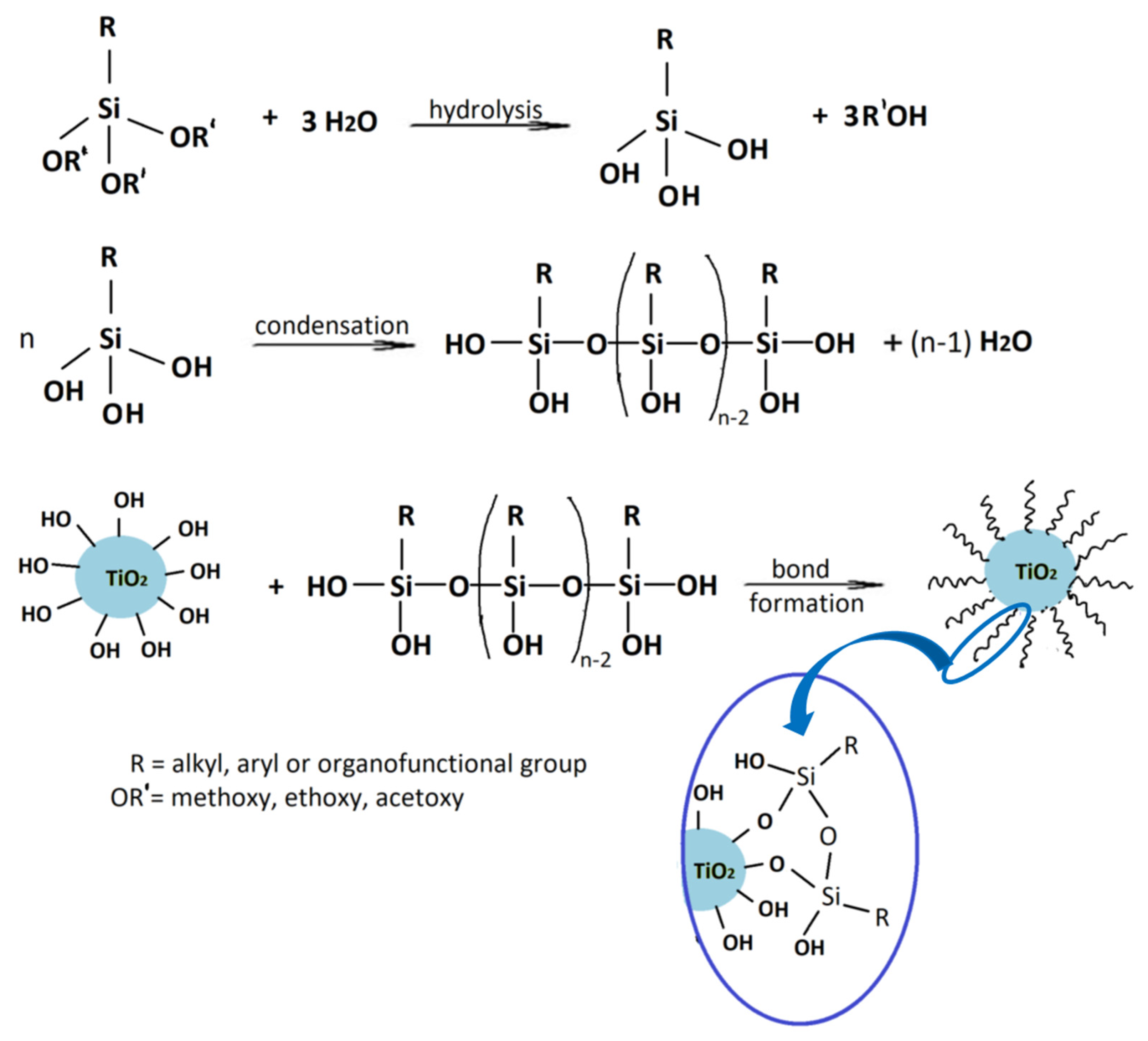 Polymers 13 02017 g003
