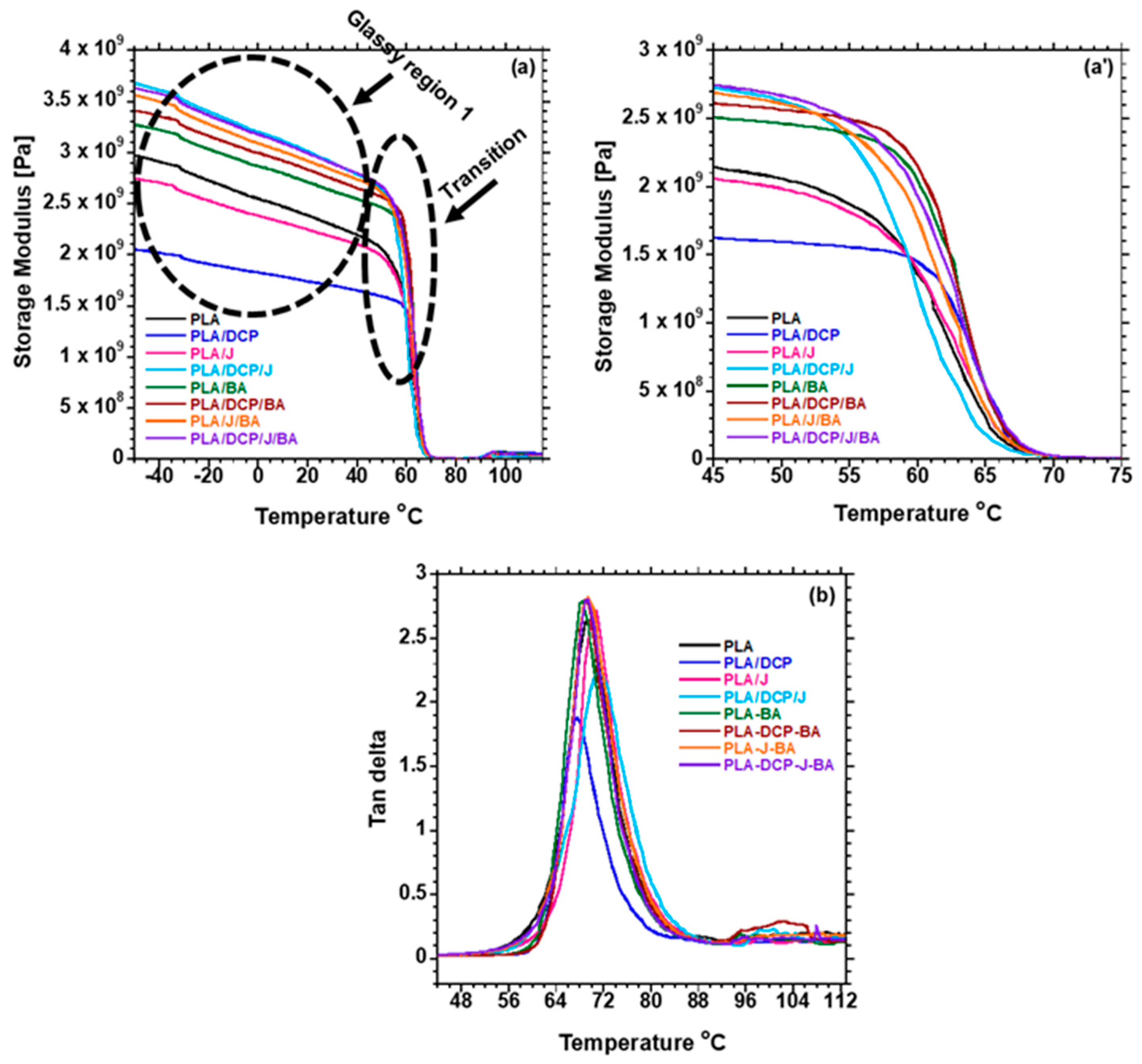 Polymers 13 02019 g008