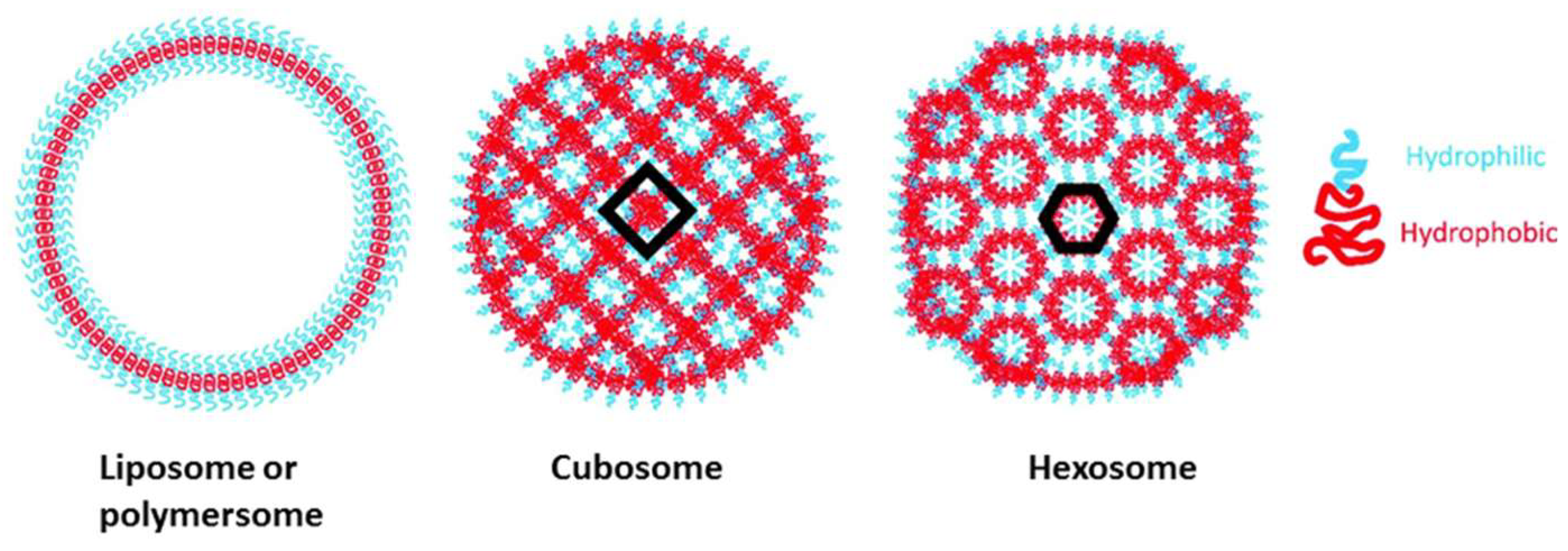 Polymers 13 02022 g001